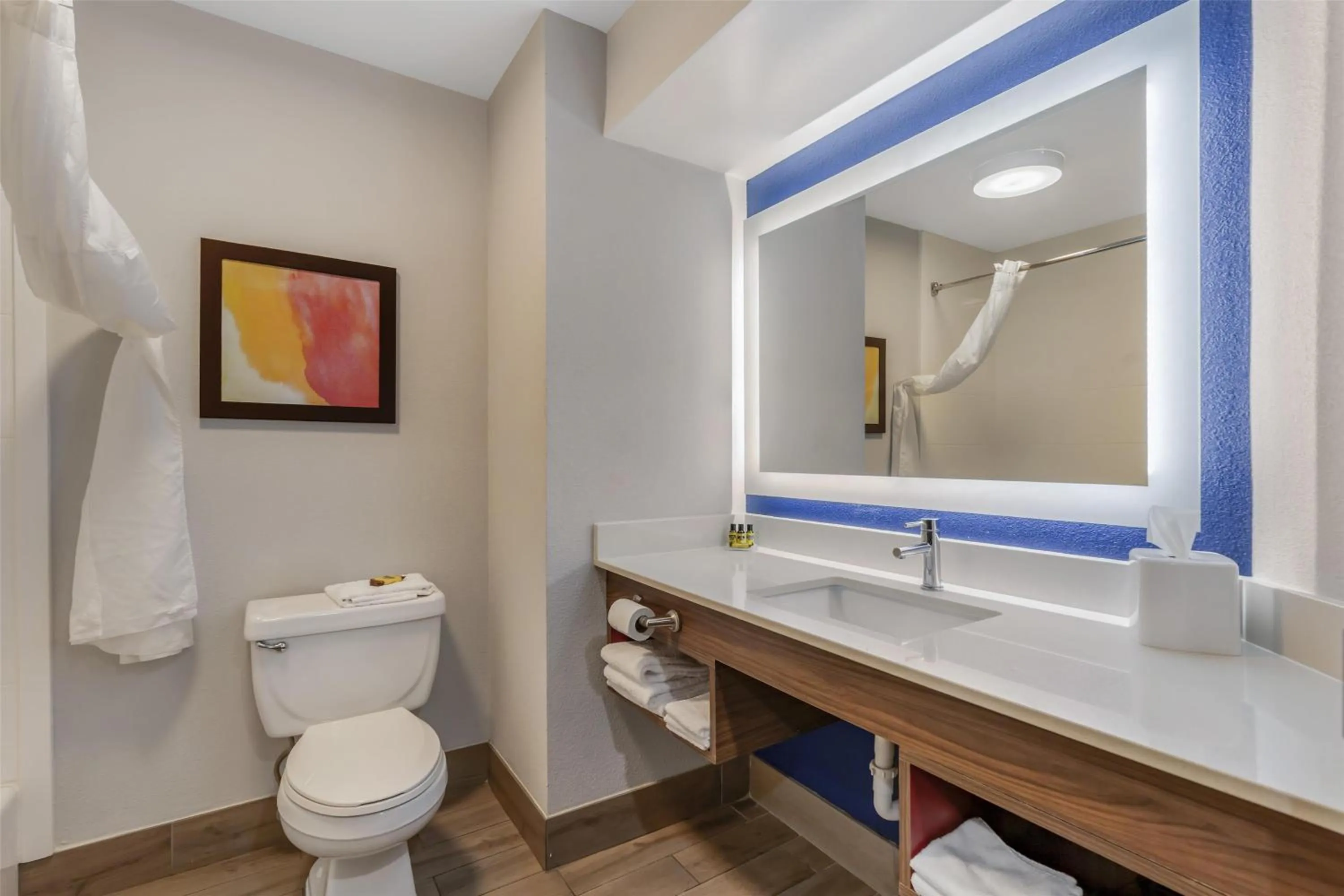 Bathroom in Best Western Plus Lexington Inn