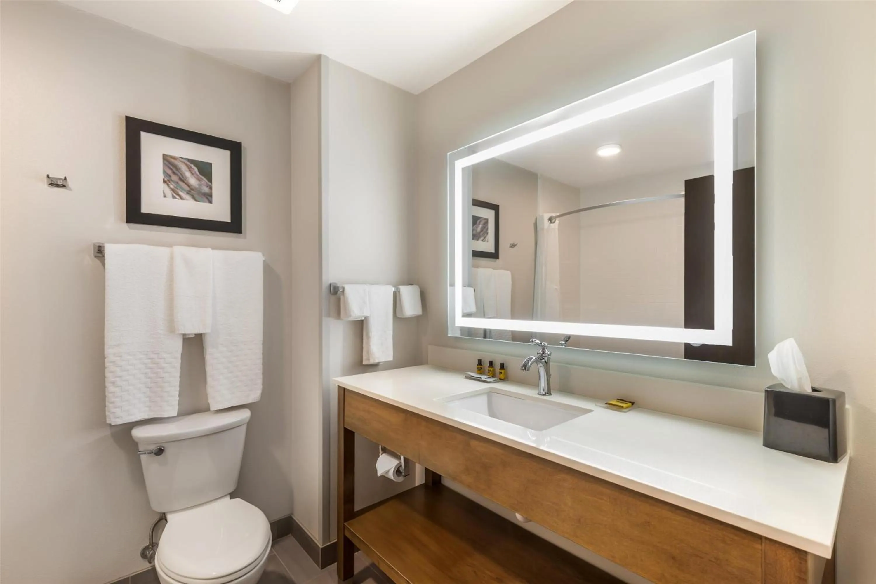 Bathroom in Best Western Plus Rapid City Rushmore