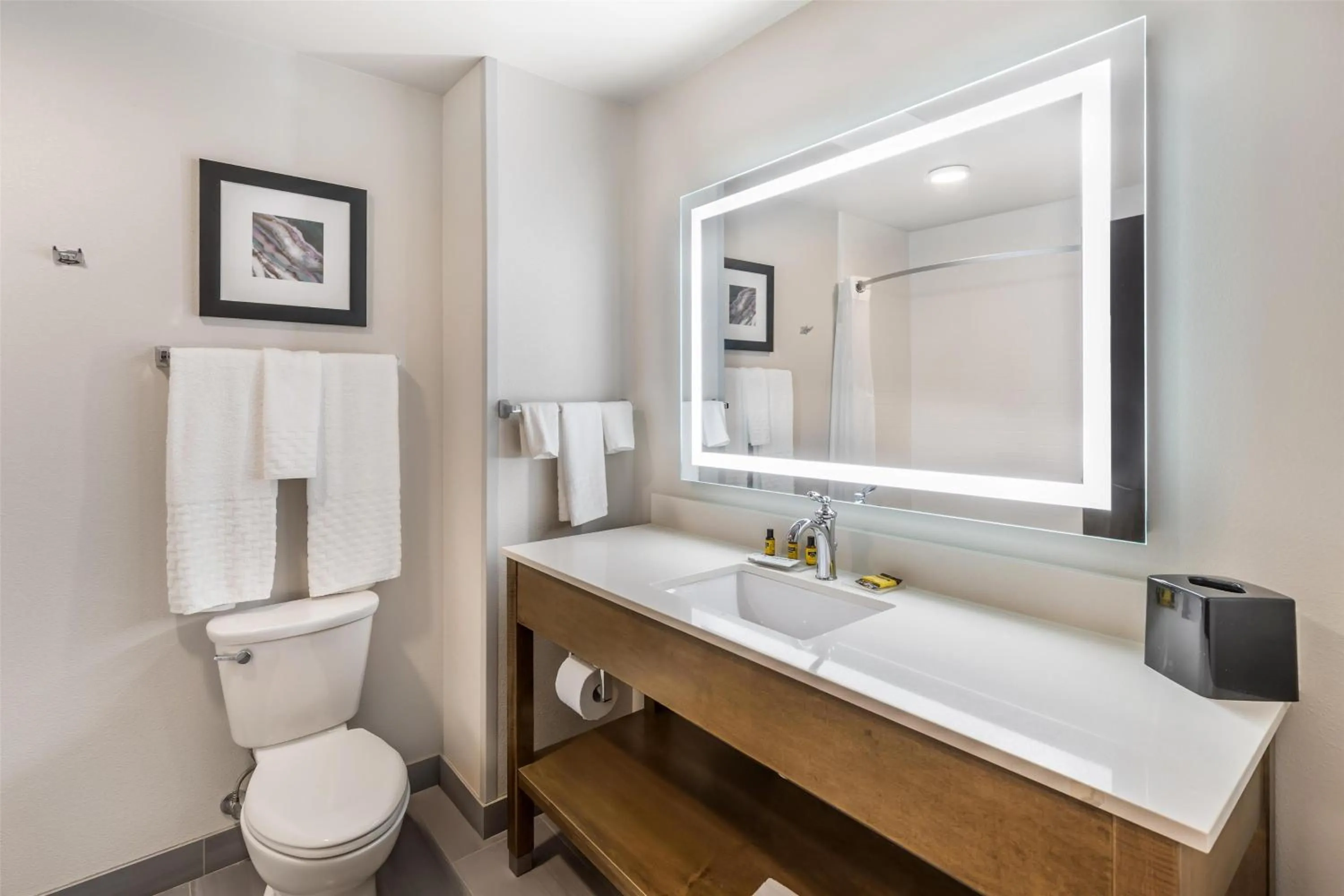 Bathroom in Best Western Plus Rapid City Rushmore