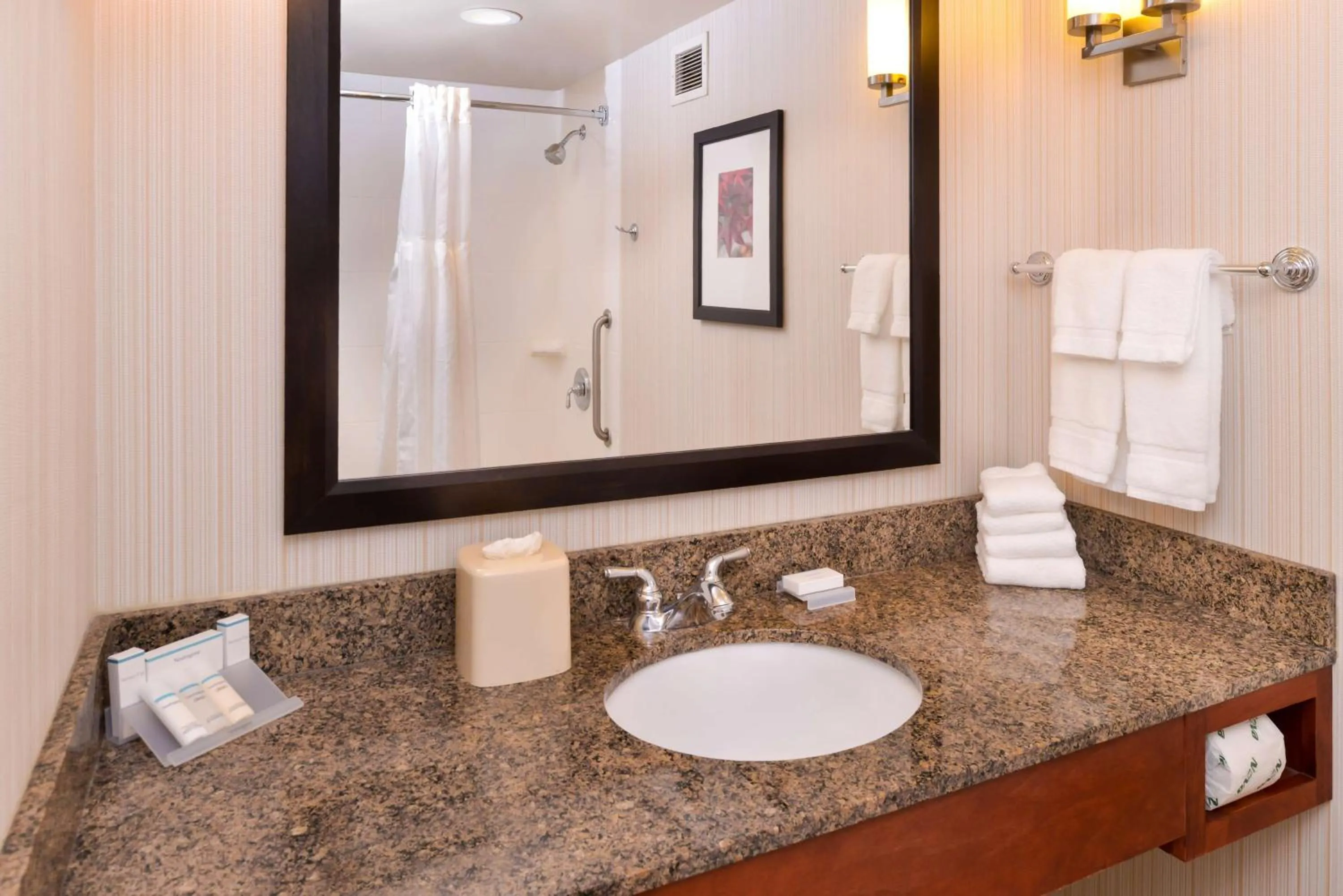 Bathroom in Hilton Garden Inn White Marsh