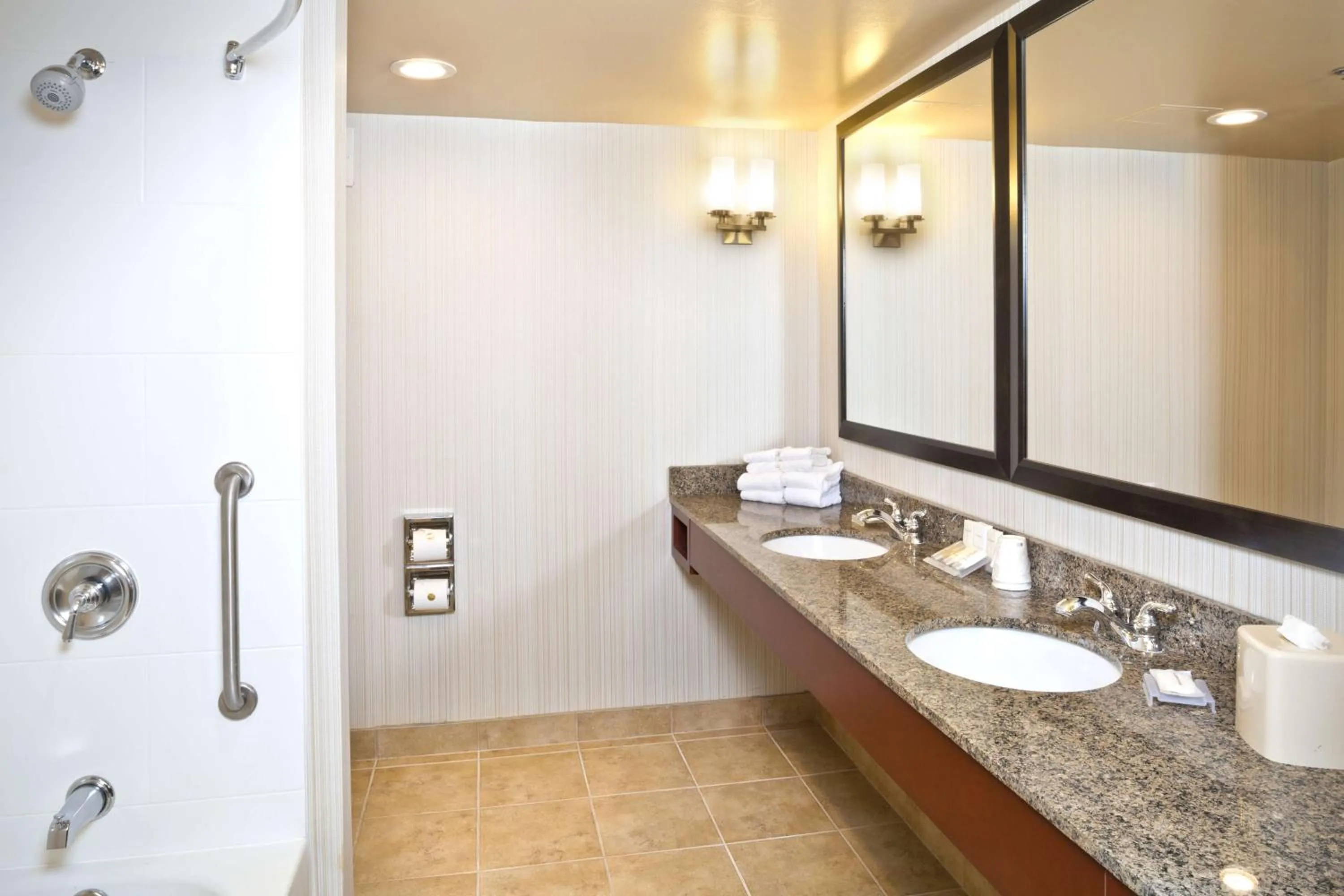 Bathroom in Hilton Garden Inn White Marsh