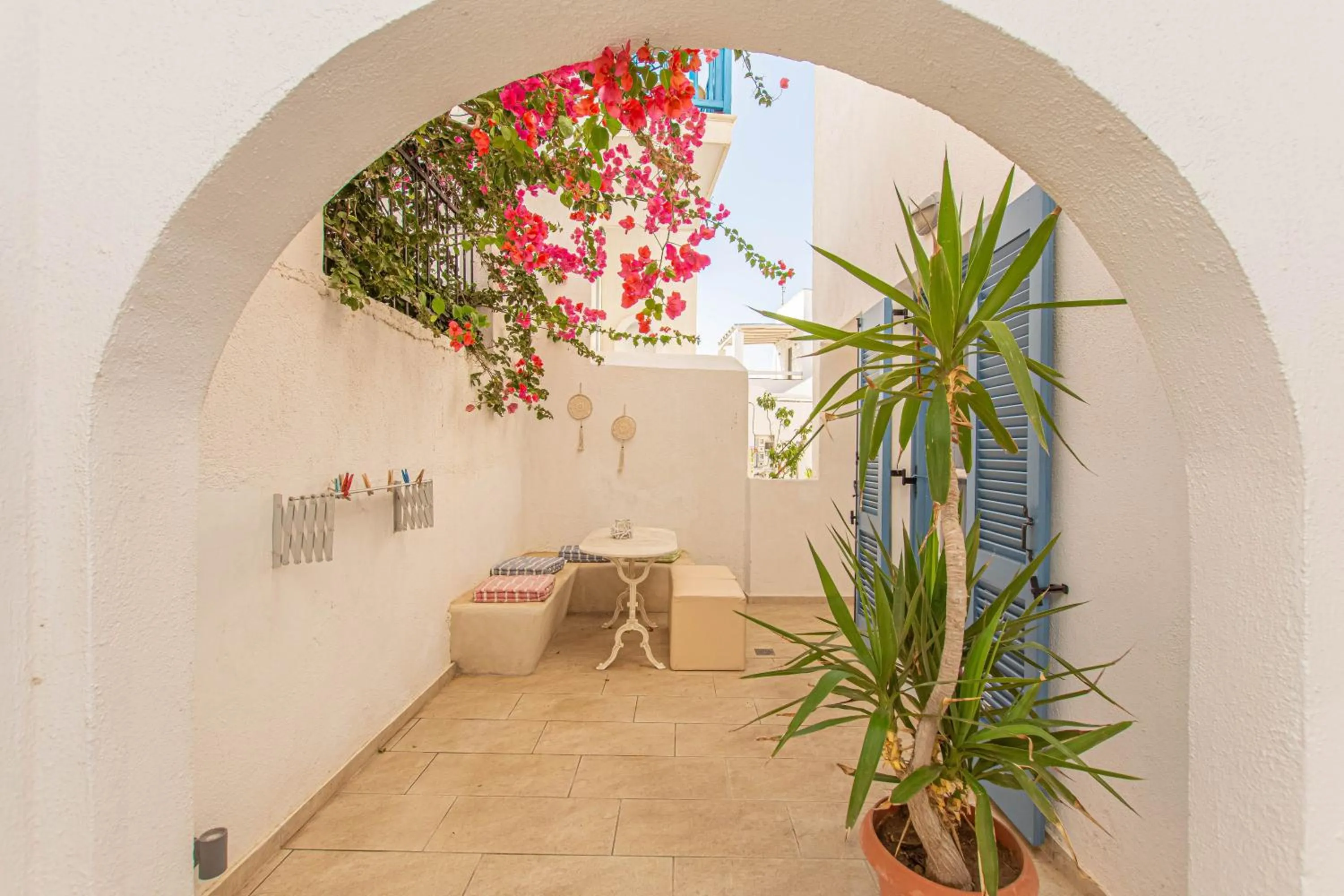 Garden in Summer Dream 1