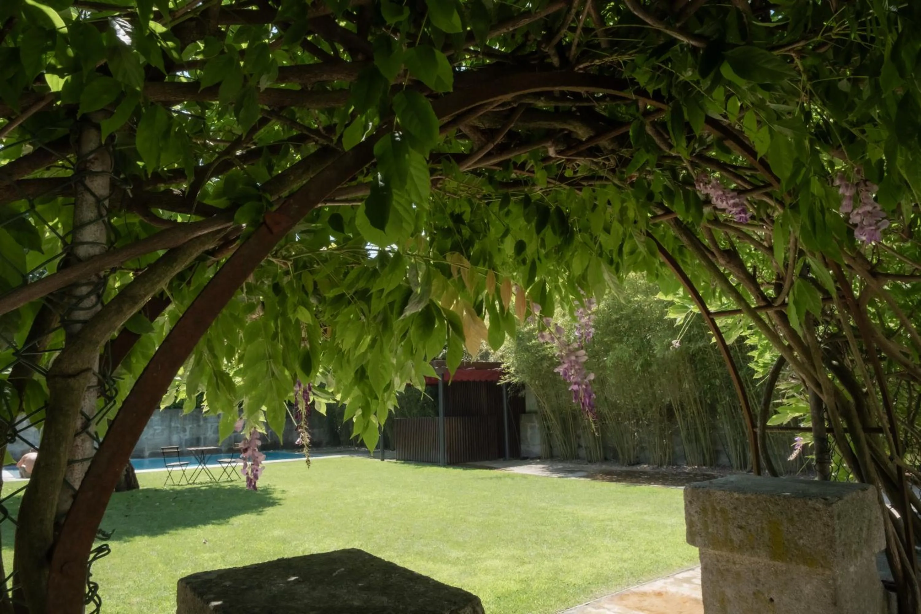 Garden in Marquês Garden House by Olivia