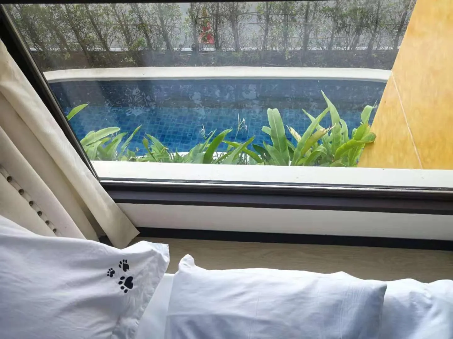 bunk bed, Bed in Venetian Poseidon Pool Hotel