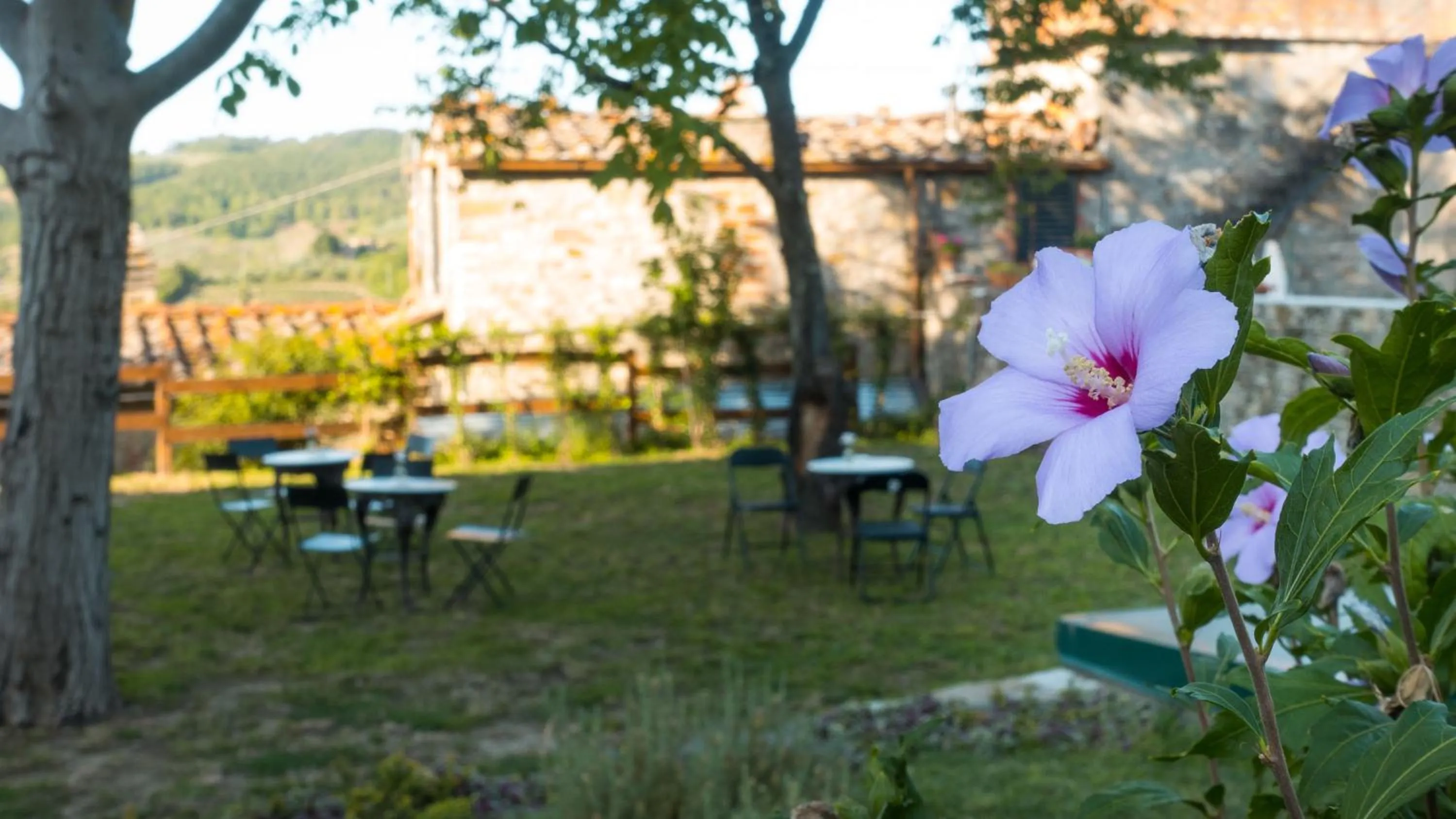 Garden in Torre nel Chianti