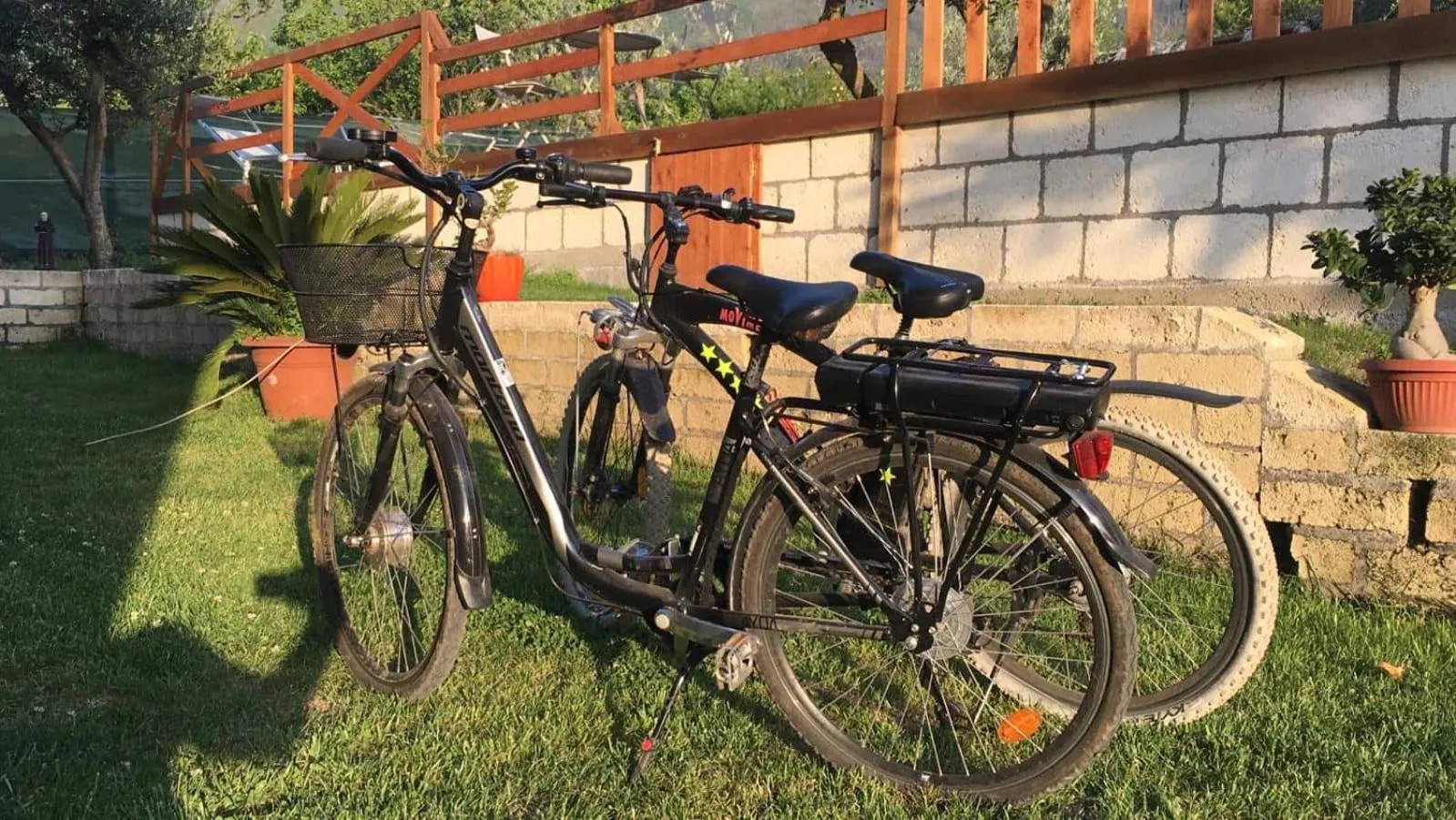 Cycling in B & B Evergreen