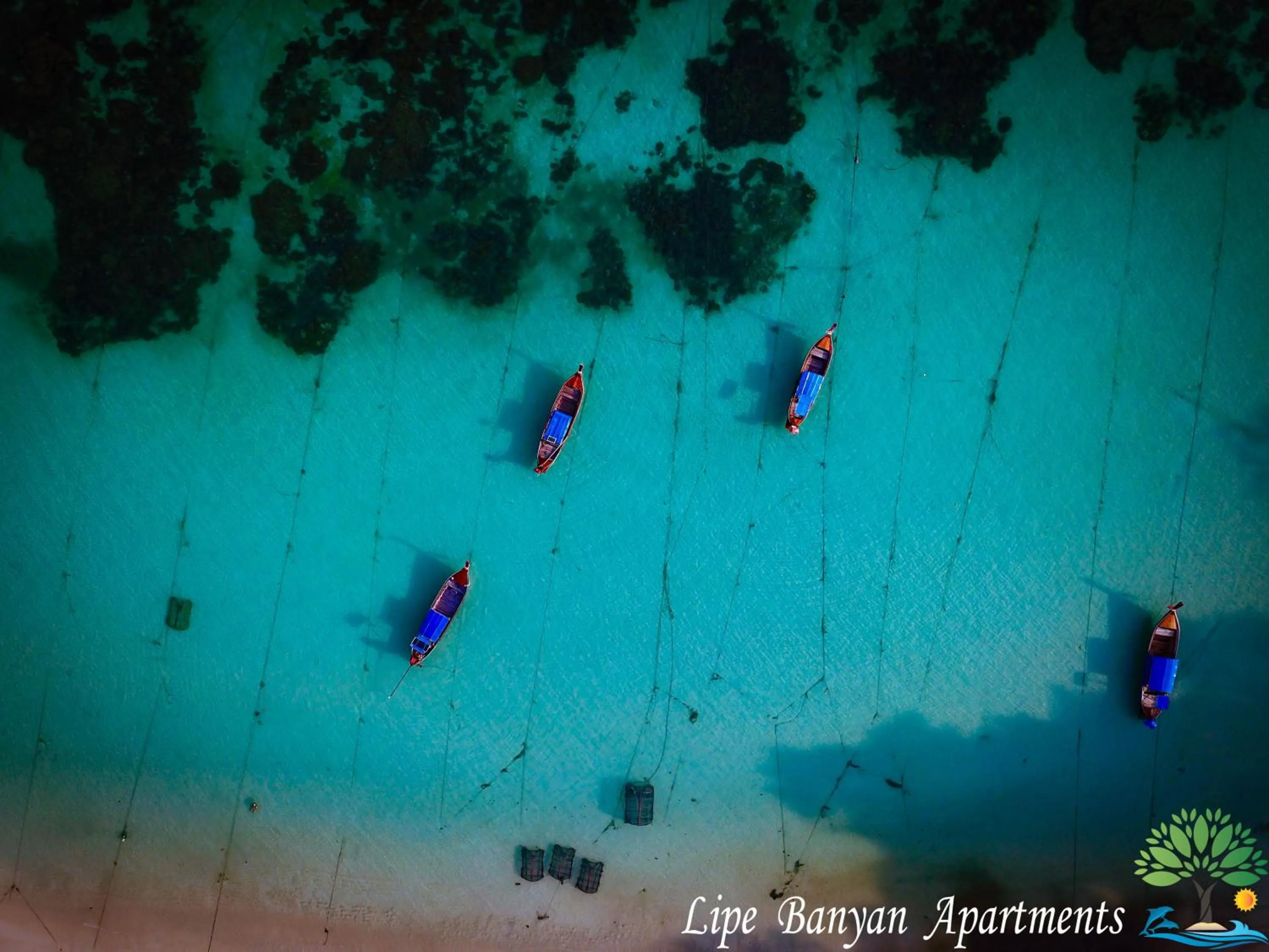 Lipe Banyan Apartments