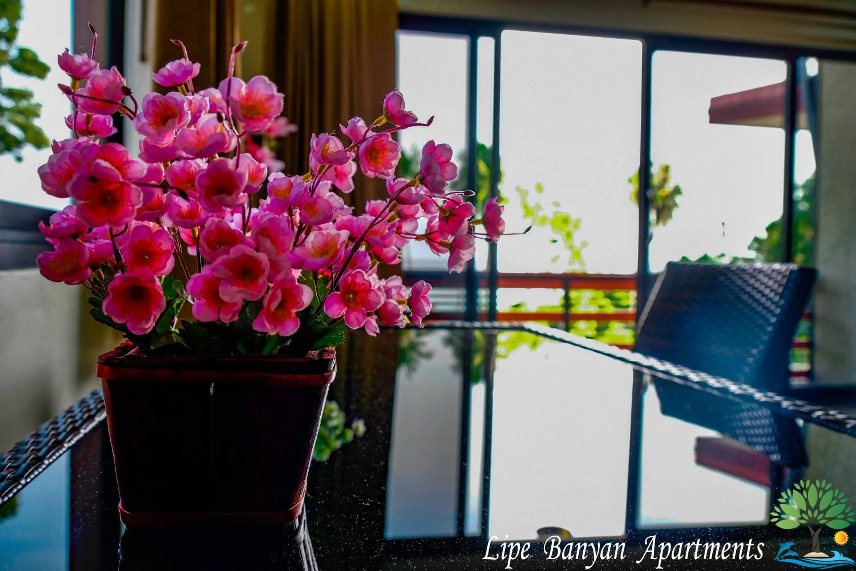 Lipe Banyan Apartments