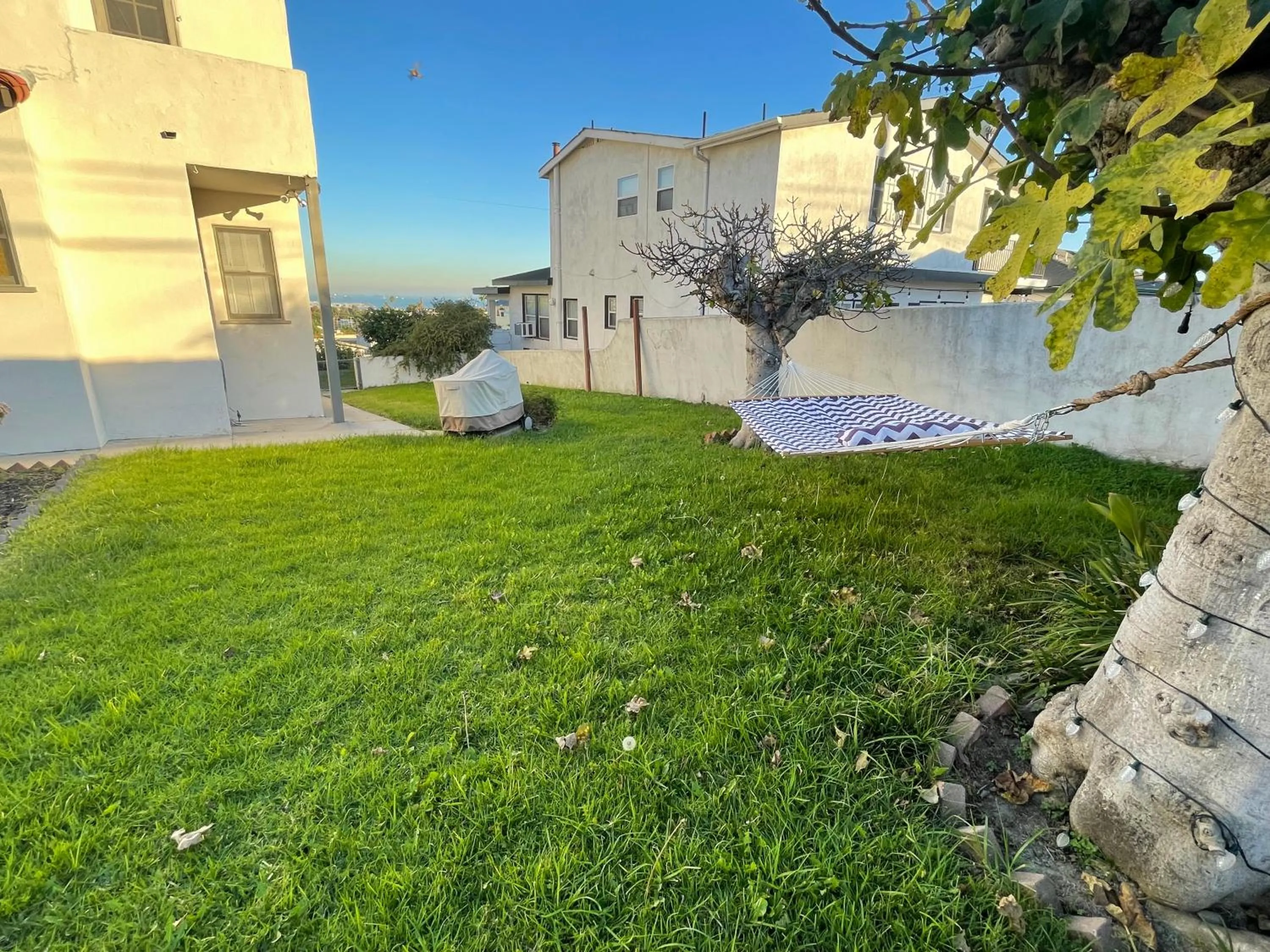 Garden in SpanishFairytale4bd3ba