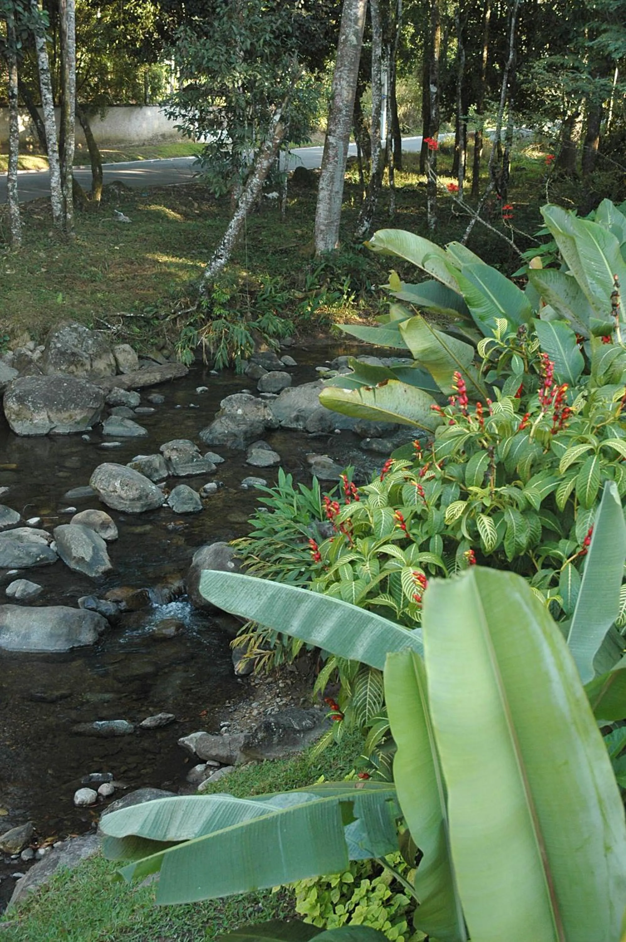 Day in Pousada Suarez