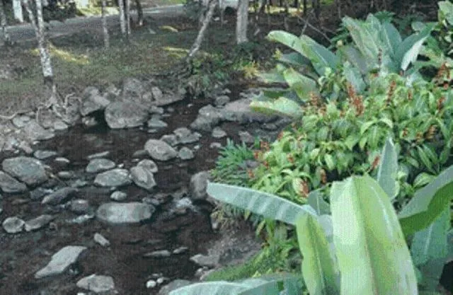 Day in Pousada Suarez