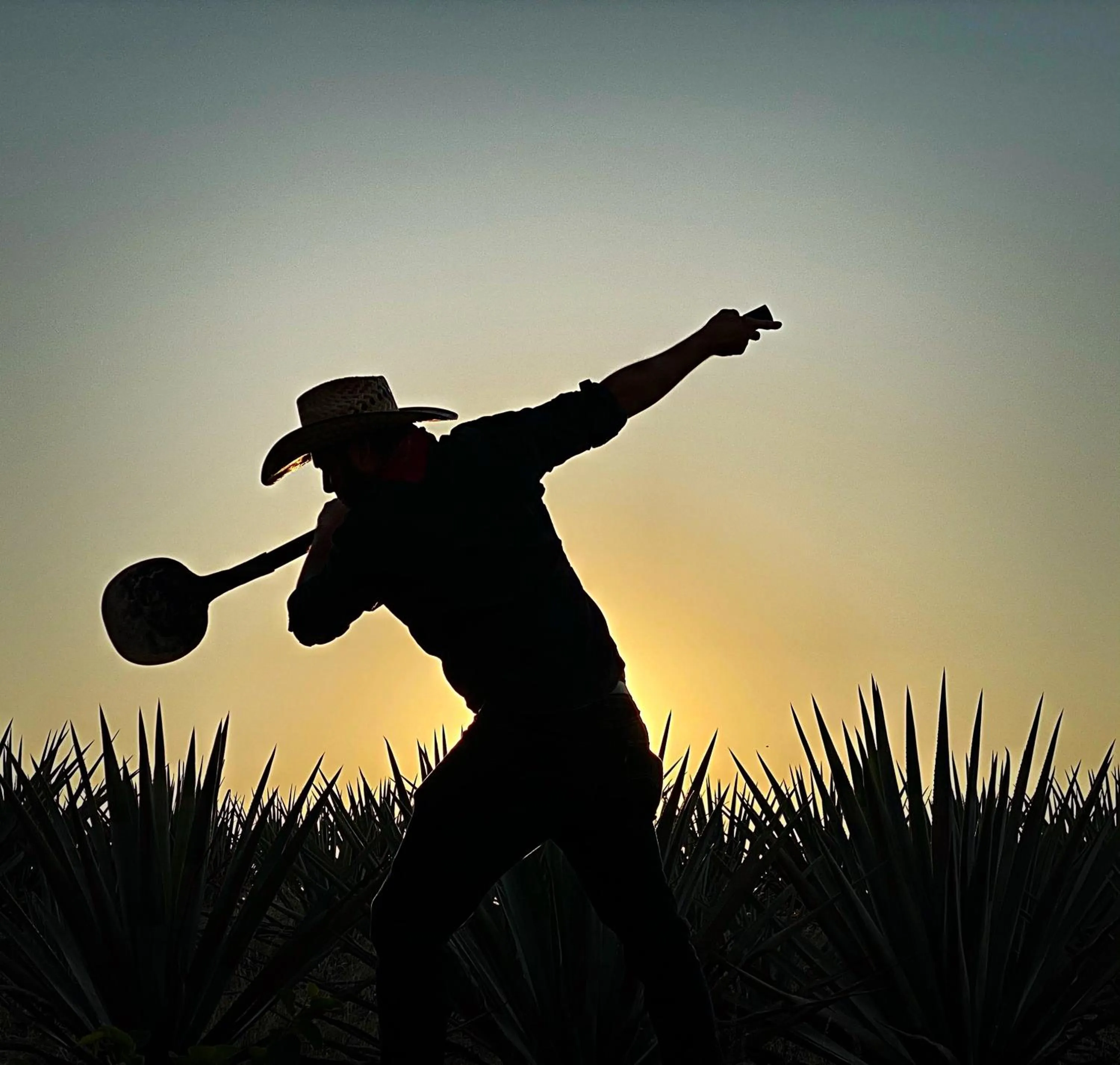 Matices Hotel de Barricas