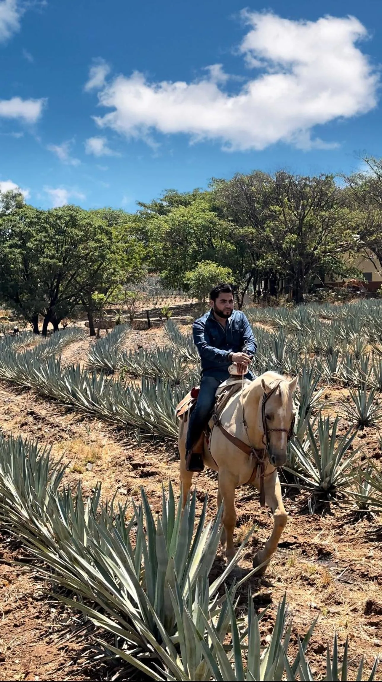 Matices Hotel de Barricas