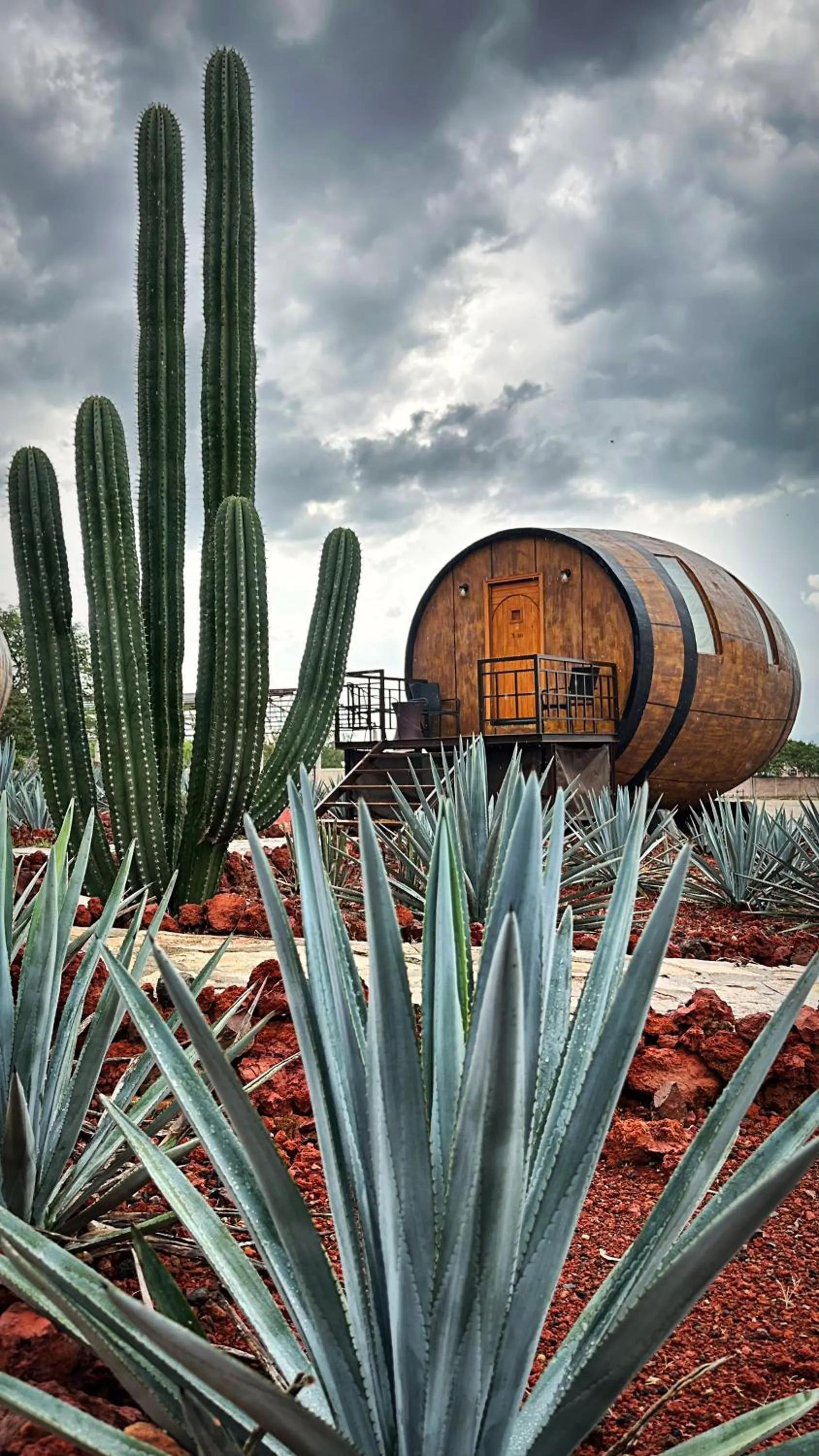 Matices Hotel de Barricas