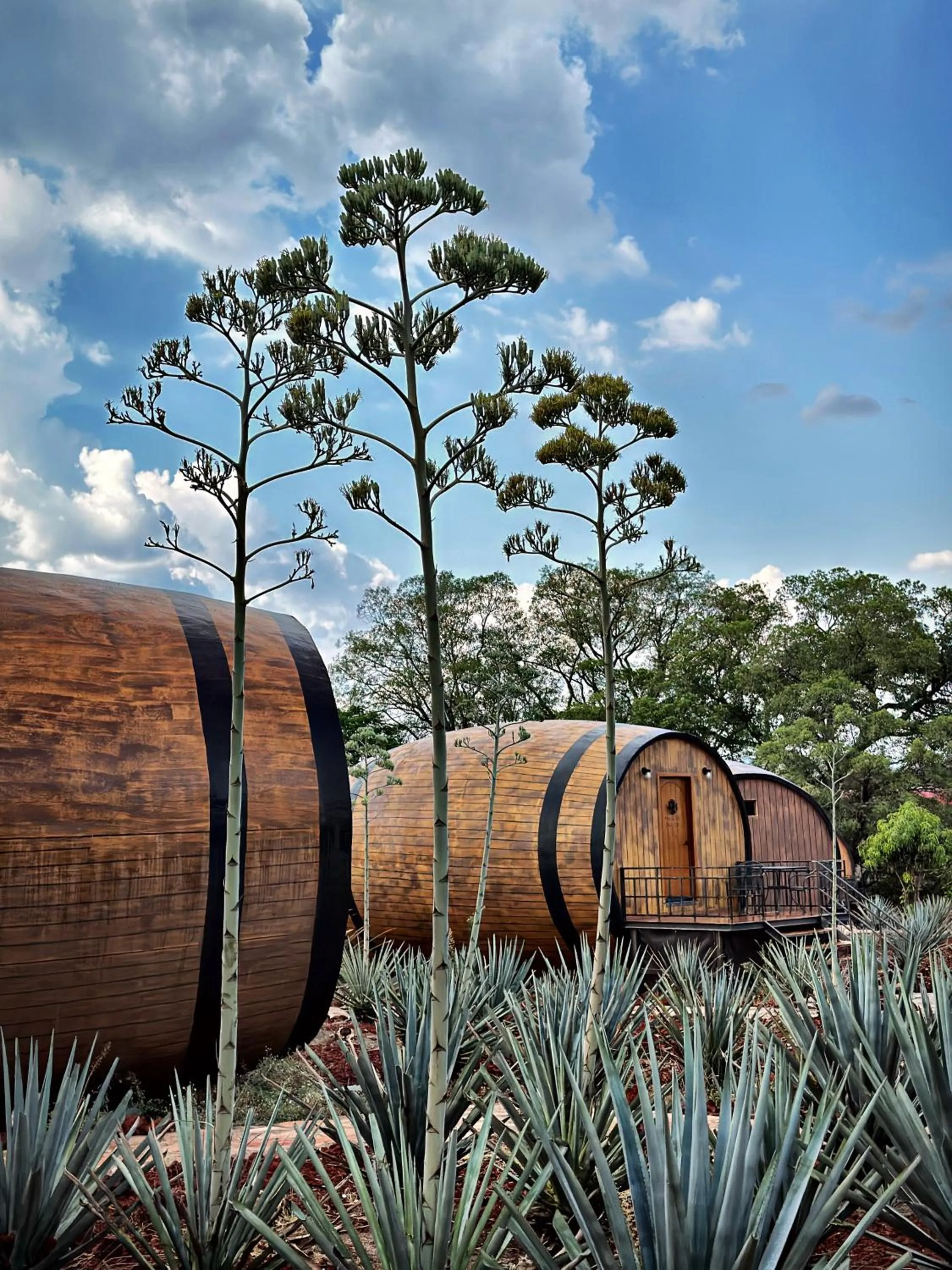 Matices Hotel de Barricas