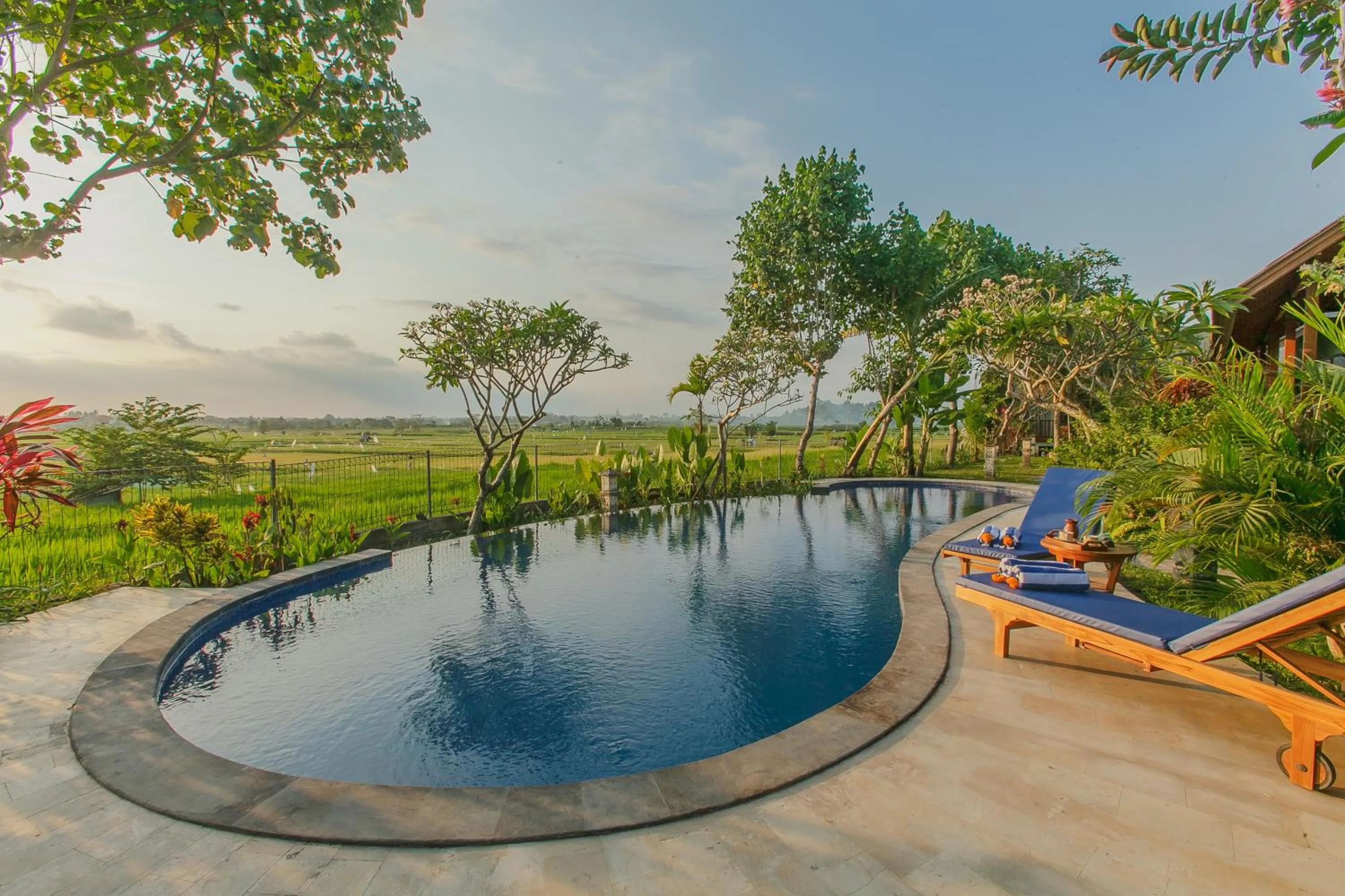 Swimming pool in Villa D'Carik Bali