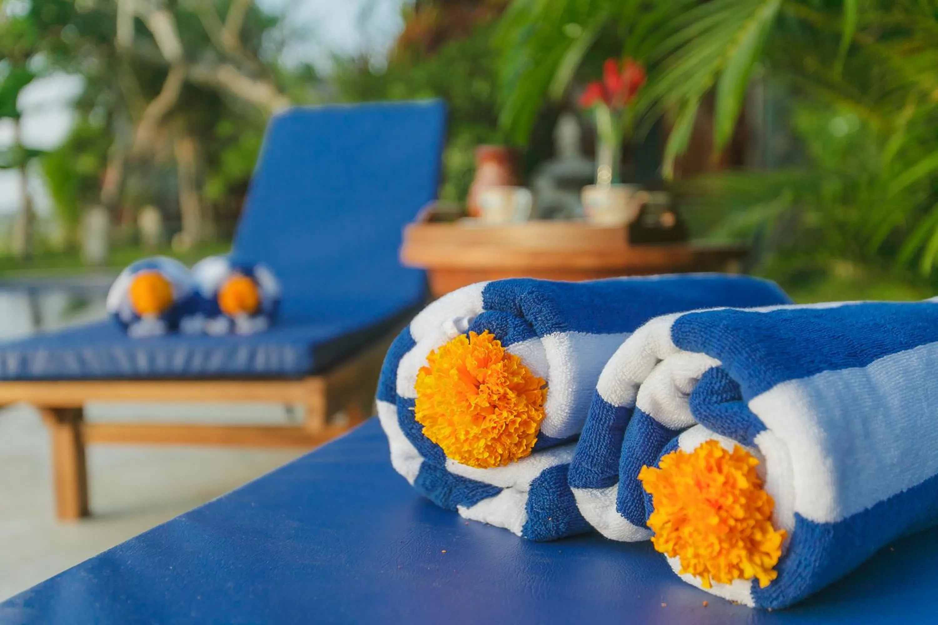 Swimming pool in Villa D'Carik Bali