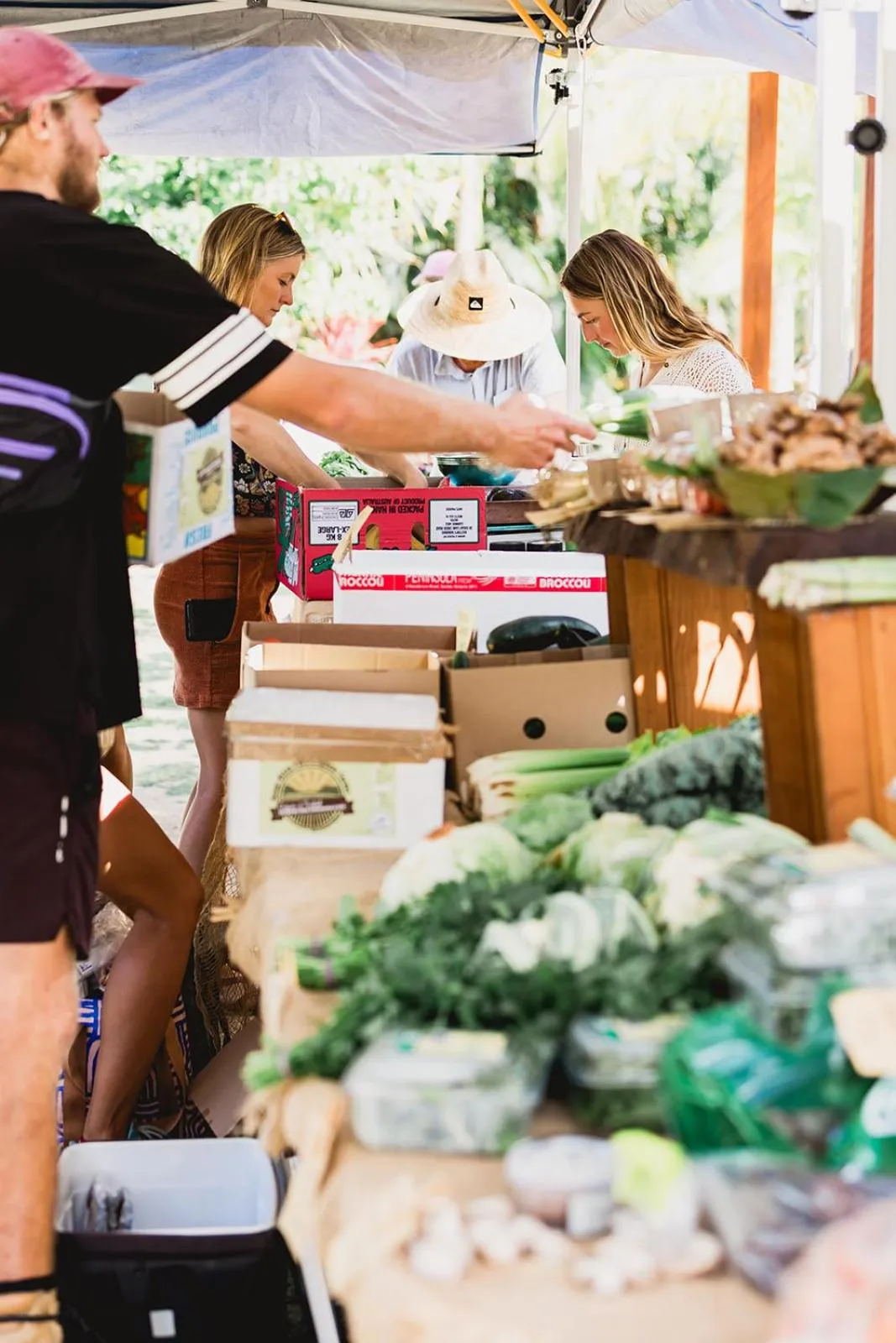 Food and drinks in 1770 Getaway Villas