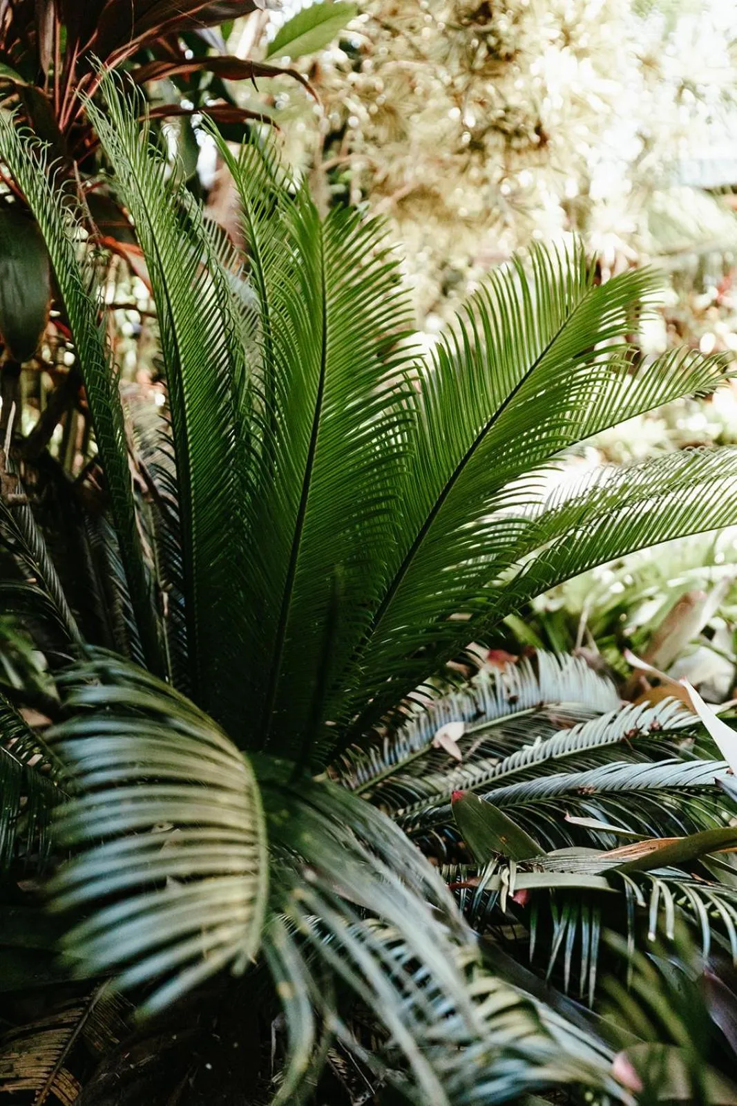 Natural landscape in 1770 Getaway Villas