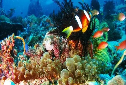 Animals in Casita Ysabel