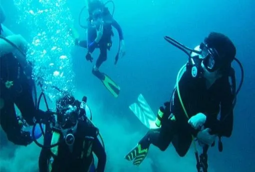 Diving in Casita Ysabel