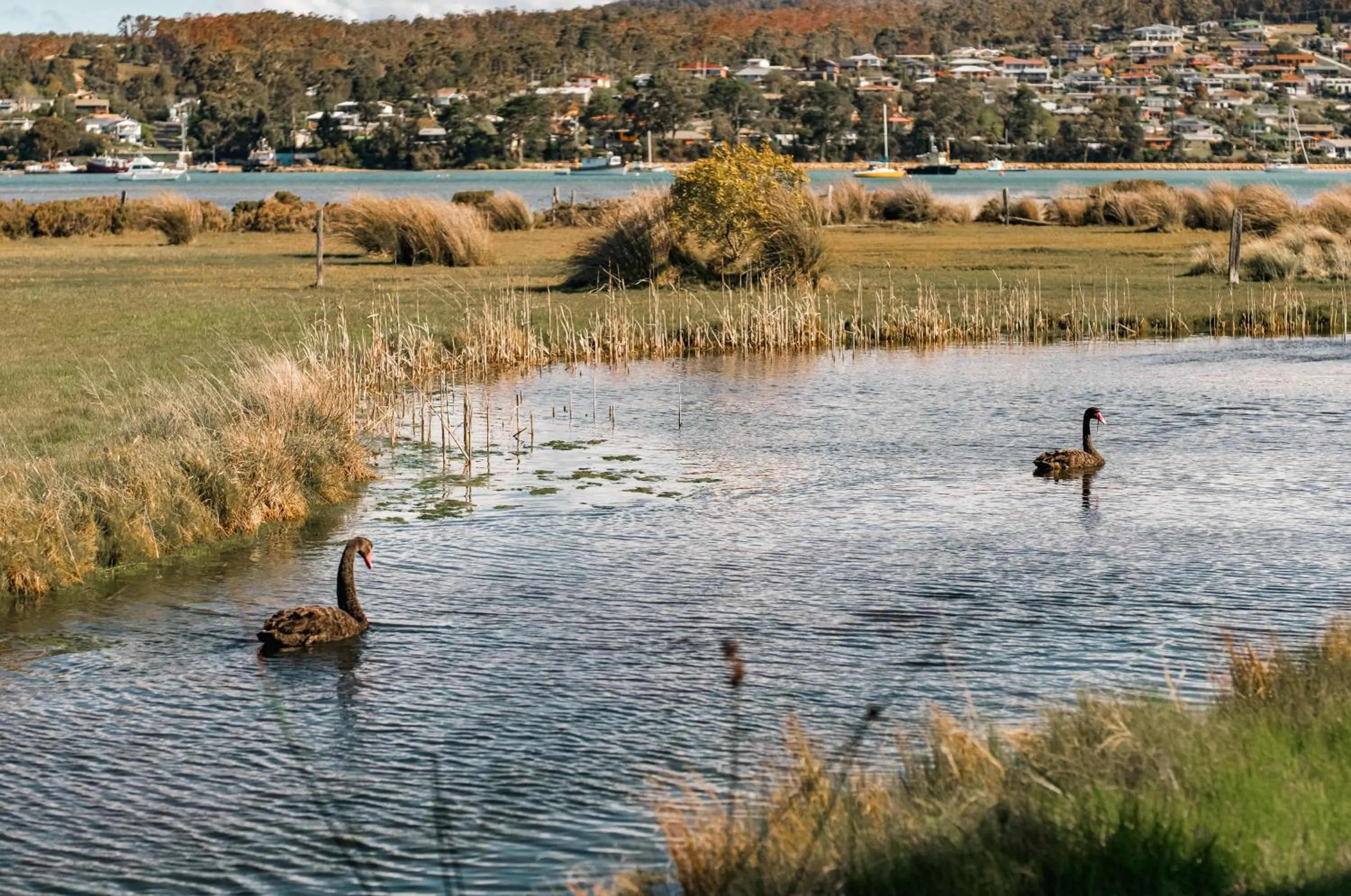 Garden in Panorama Hotel St Helens