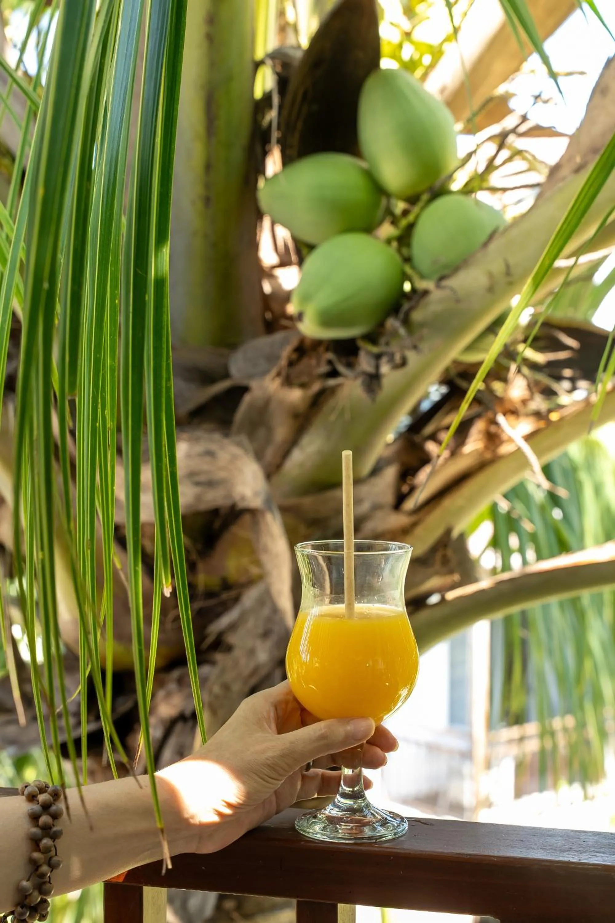 Drinks in Shoreline Stay