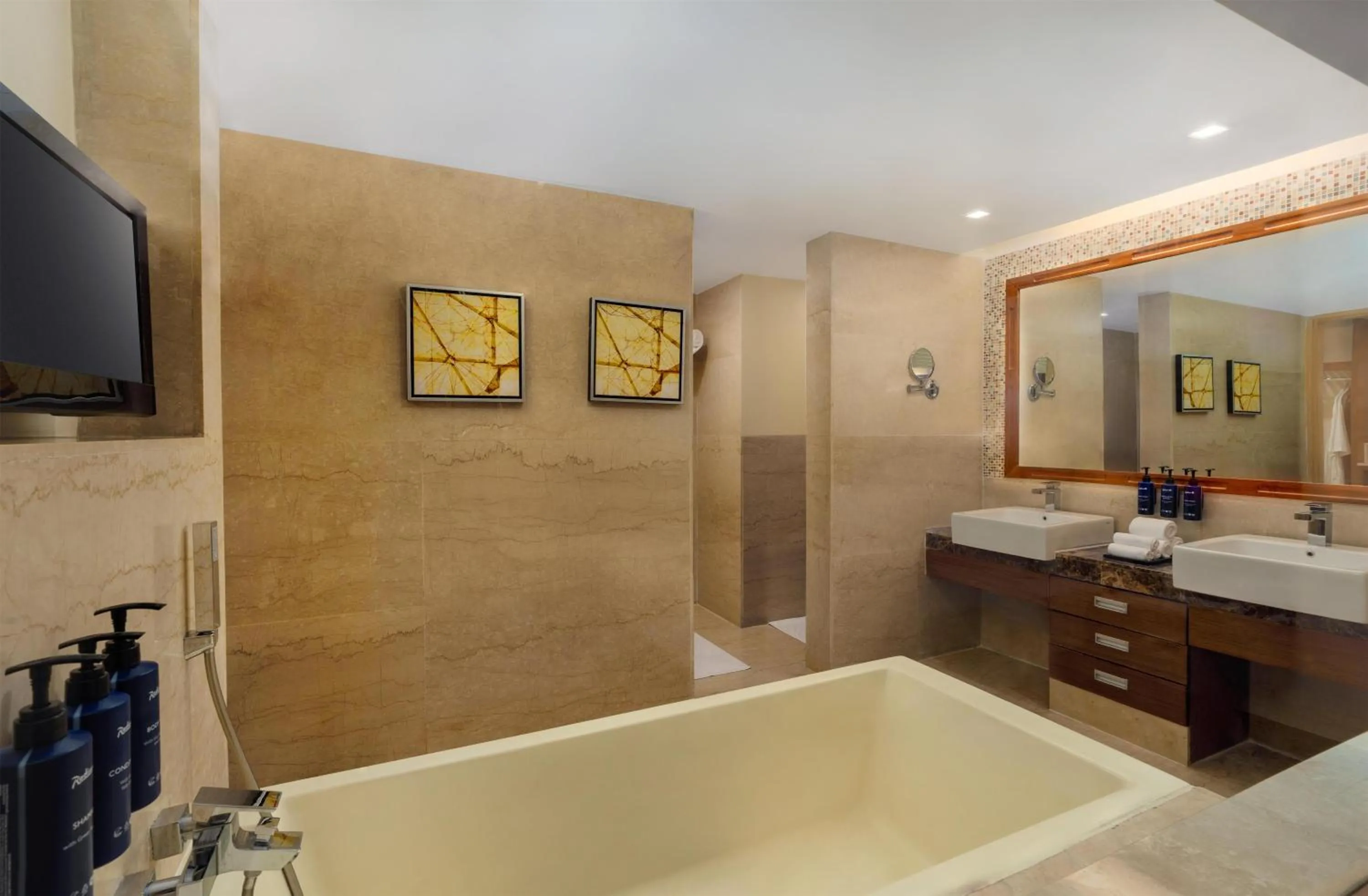 Bathroom in Radisson Blu Hotel, Greater Noida