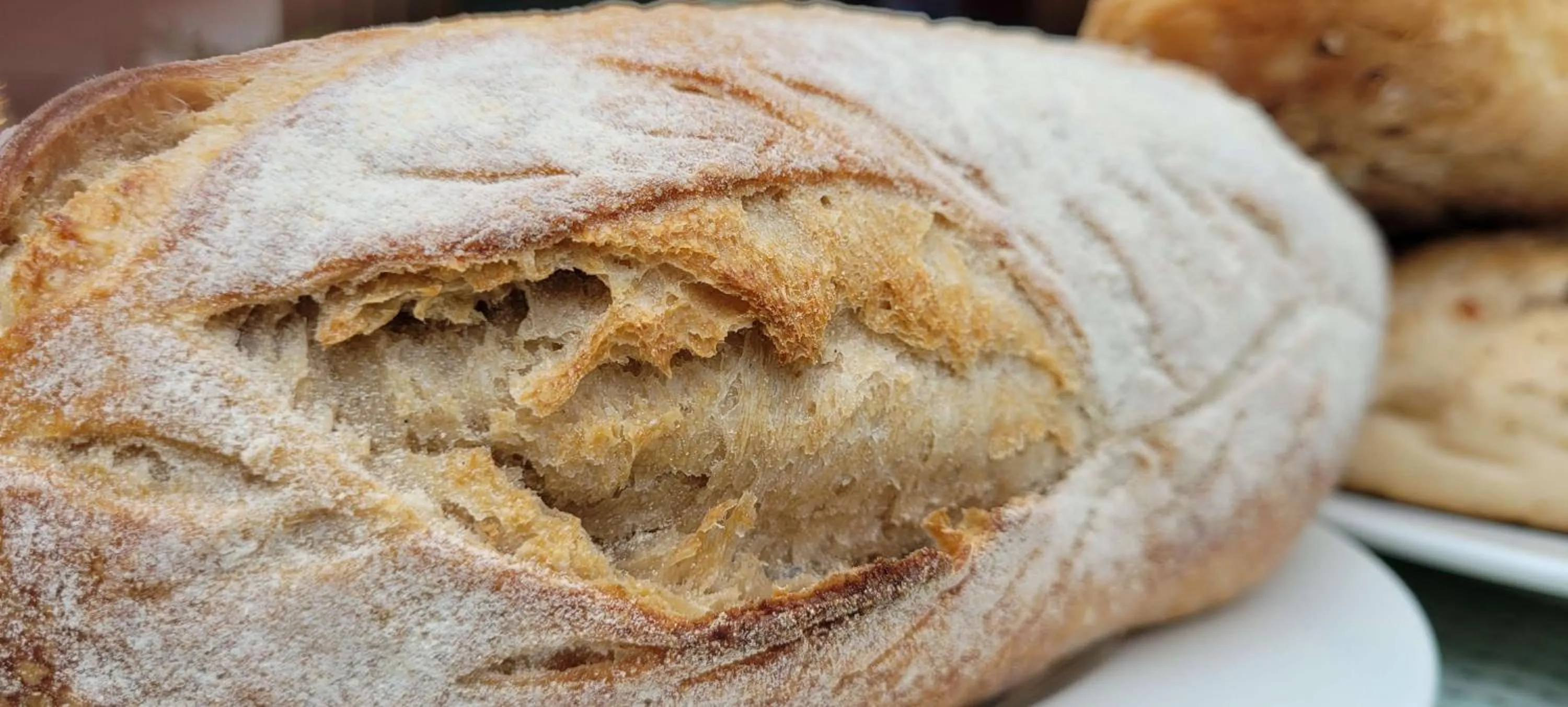 Food and drinks in Radisson Blu Hotel, Greater Noida