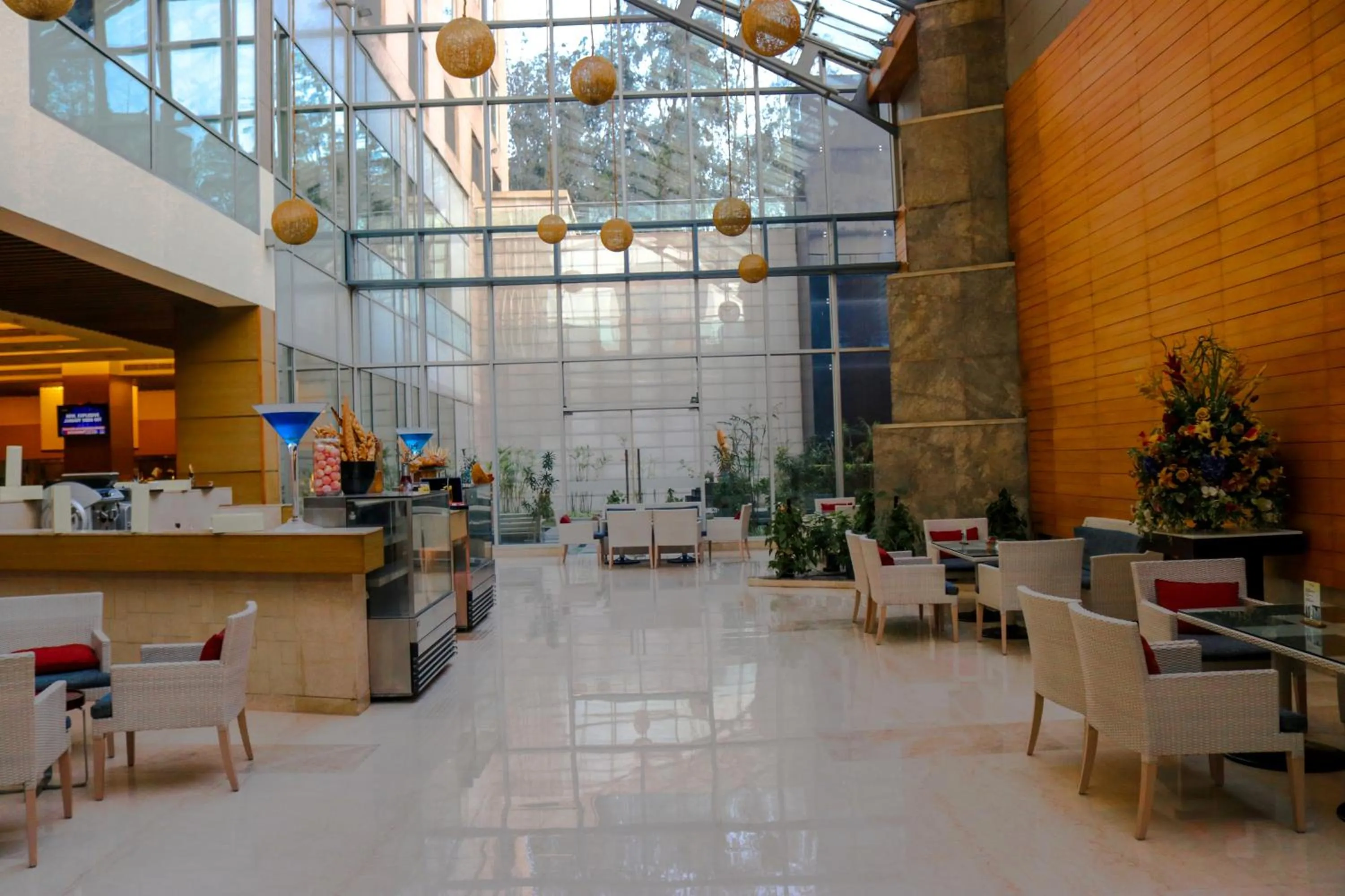 Lounge or bar in Radisson Blu Hotel, Greater Noida