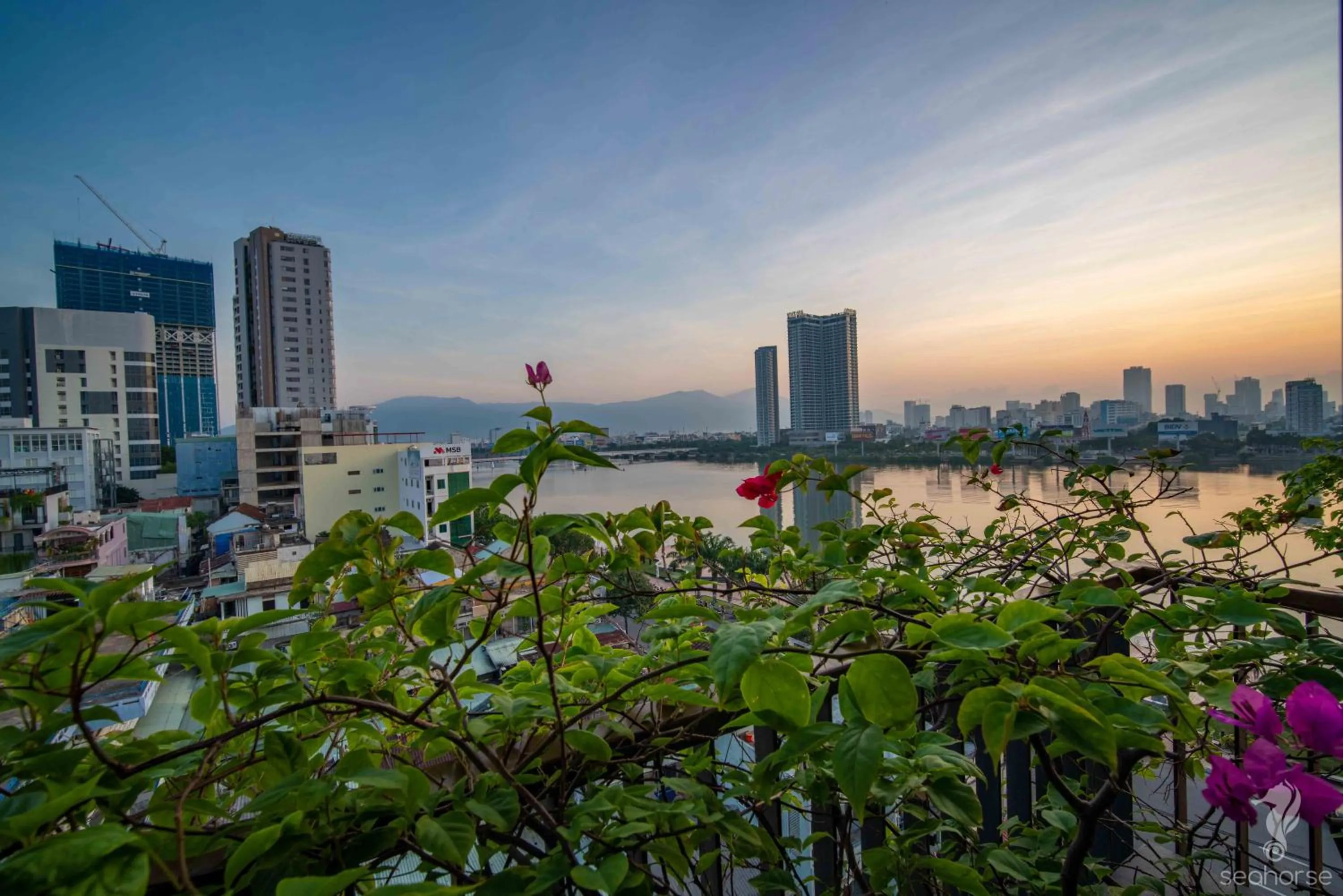 City view in Seahorse Han Market Da Nang Apartment by Haviland