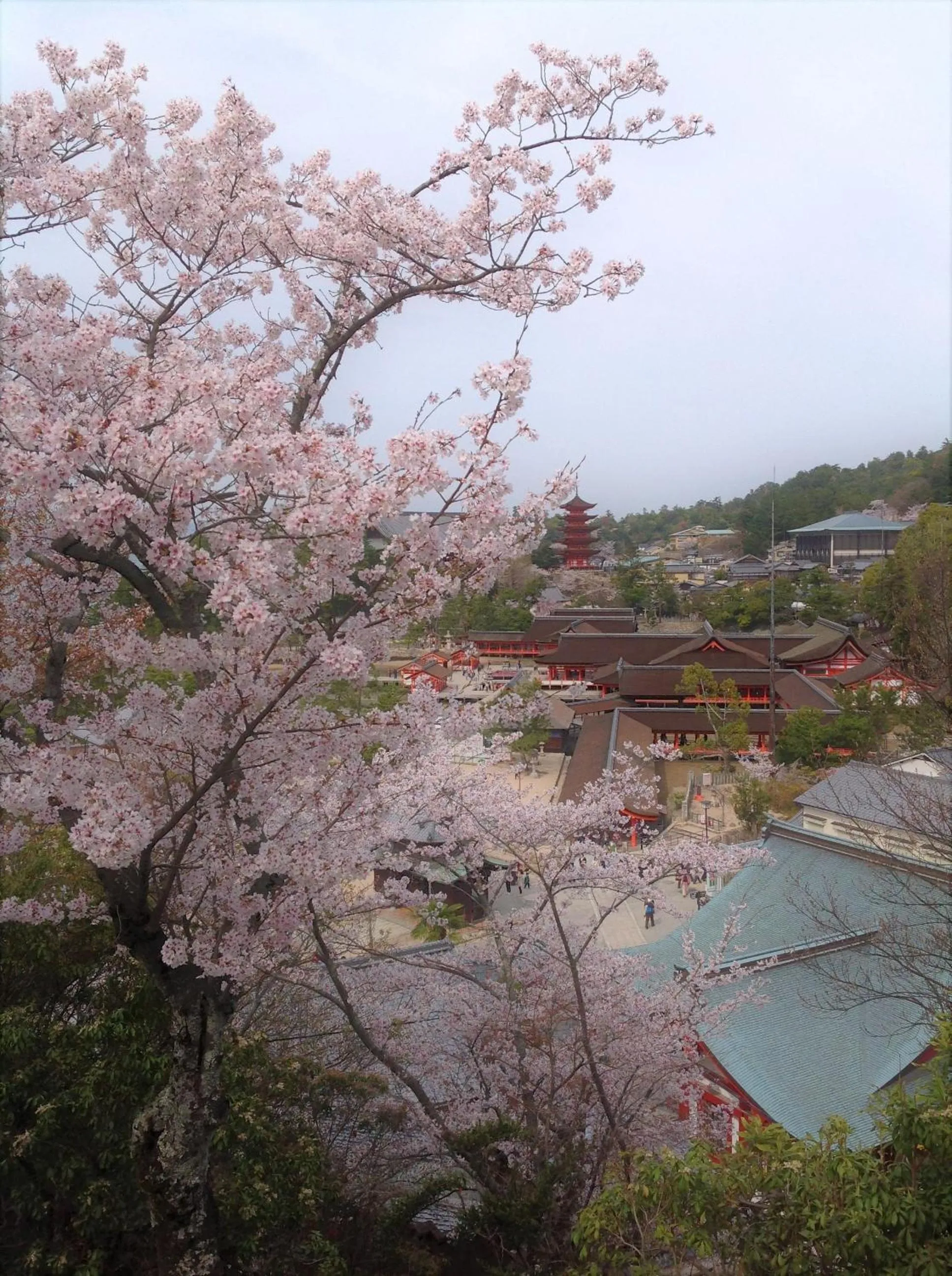 Landmark view in Jukeiso