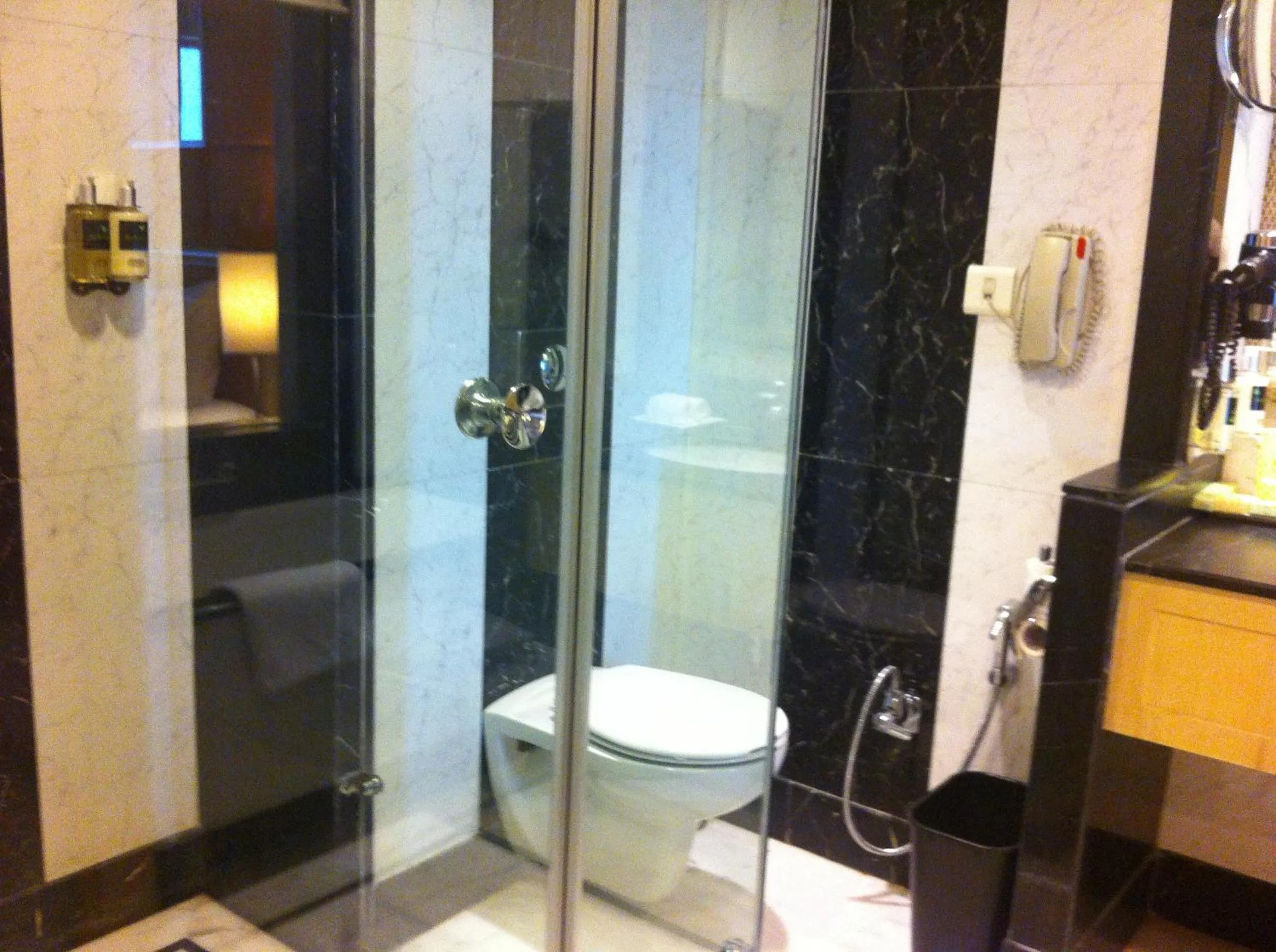 Toilet in Lemon Tree Premier, Jaipur