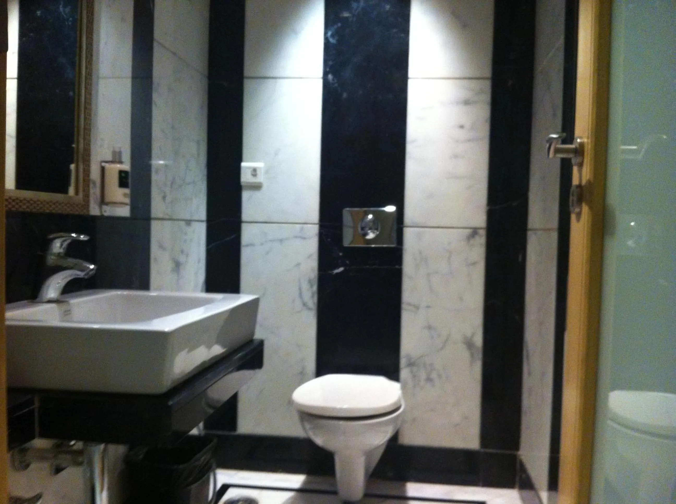 Toilet in Lemon Tree Premier, Jaipur