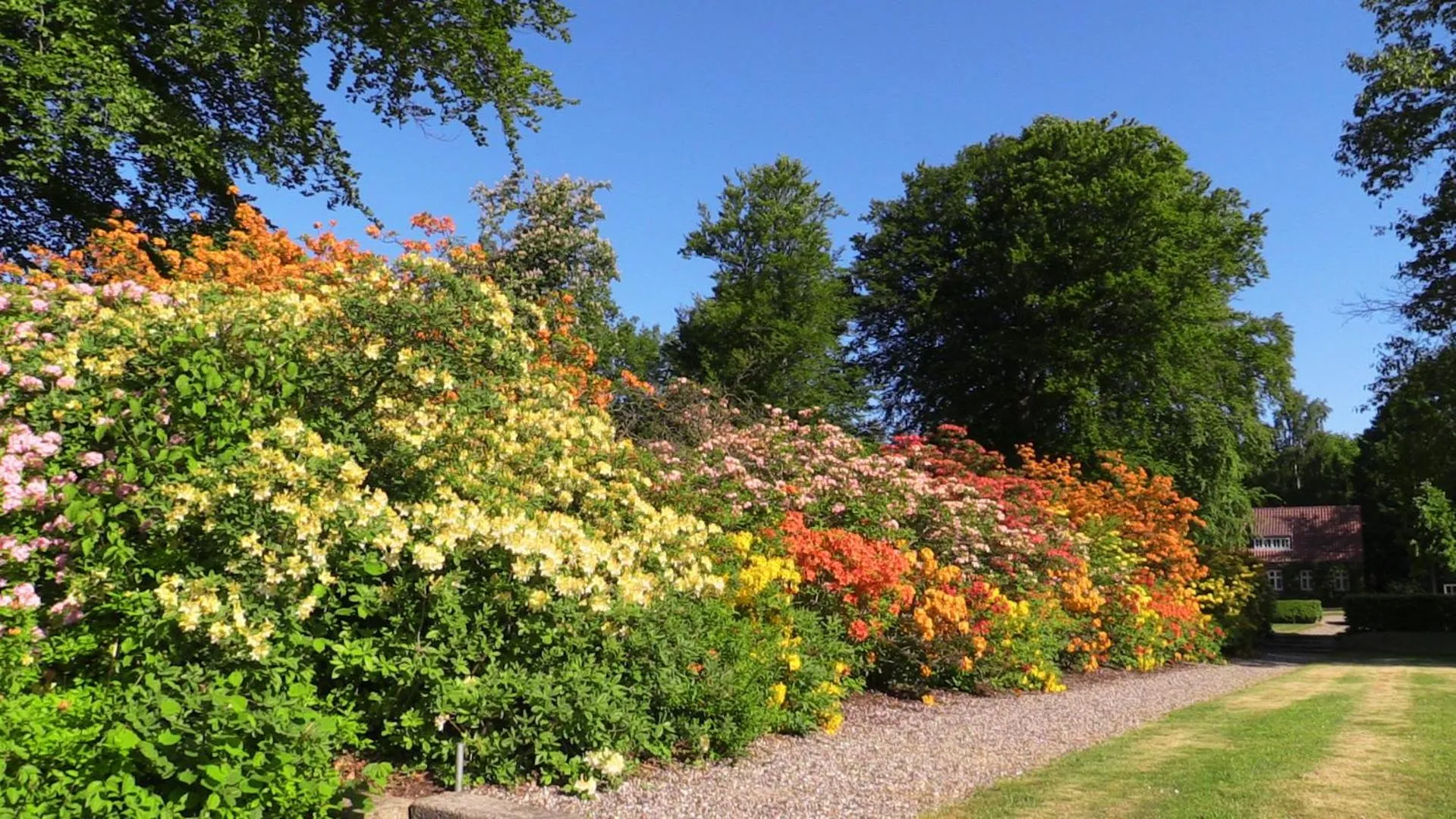 Garden view in Hotel Møllehuset