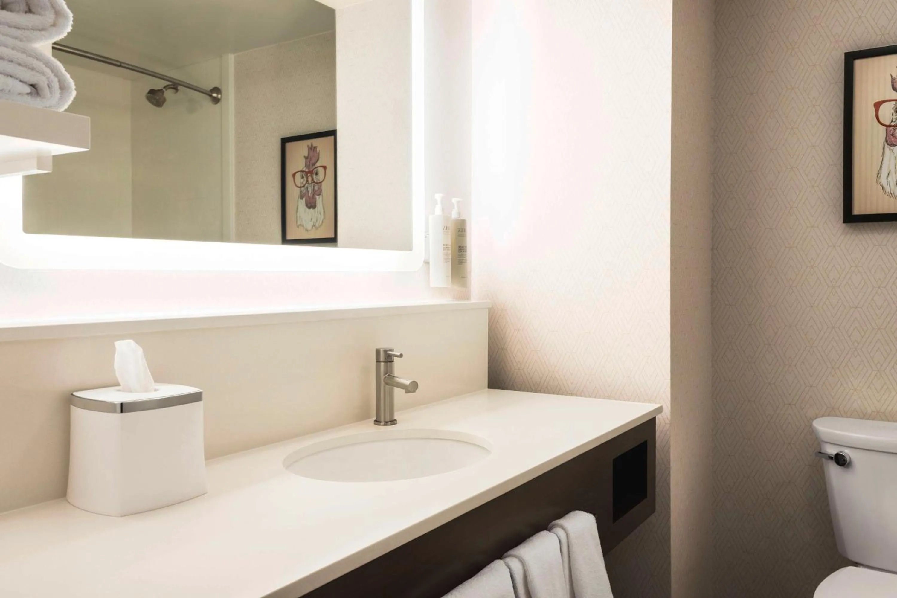 Bathroom in Hampton Inn Columbia-Downtown Historic District