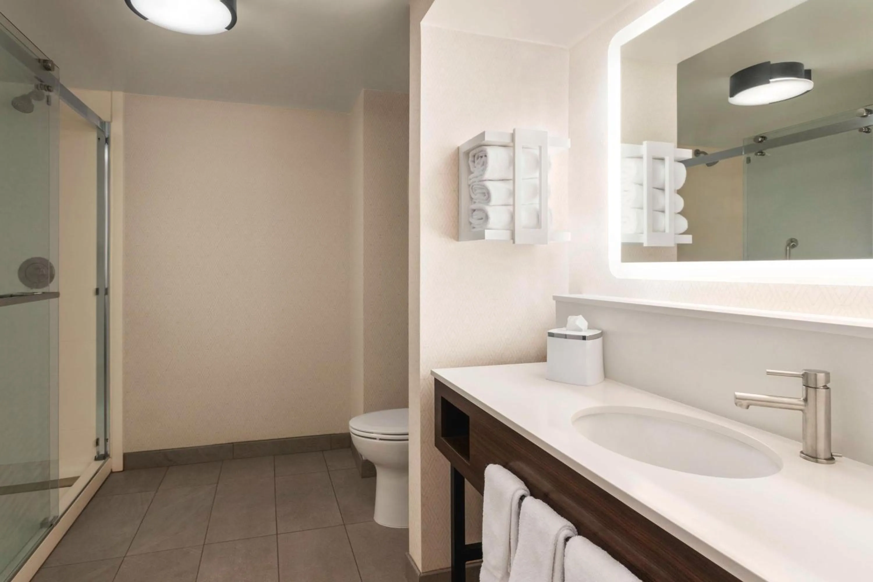 Bathroom in Hampton Inn Columbia-Downtown Historic District