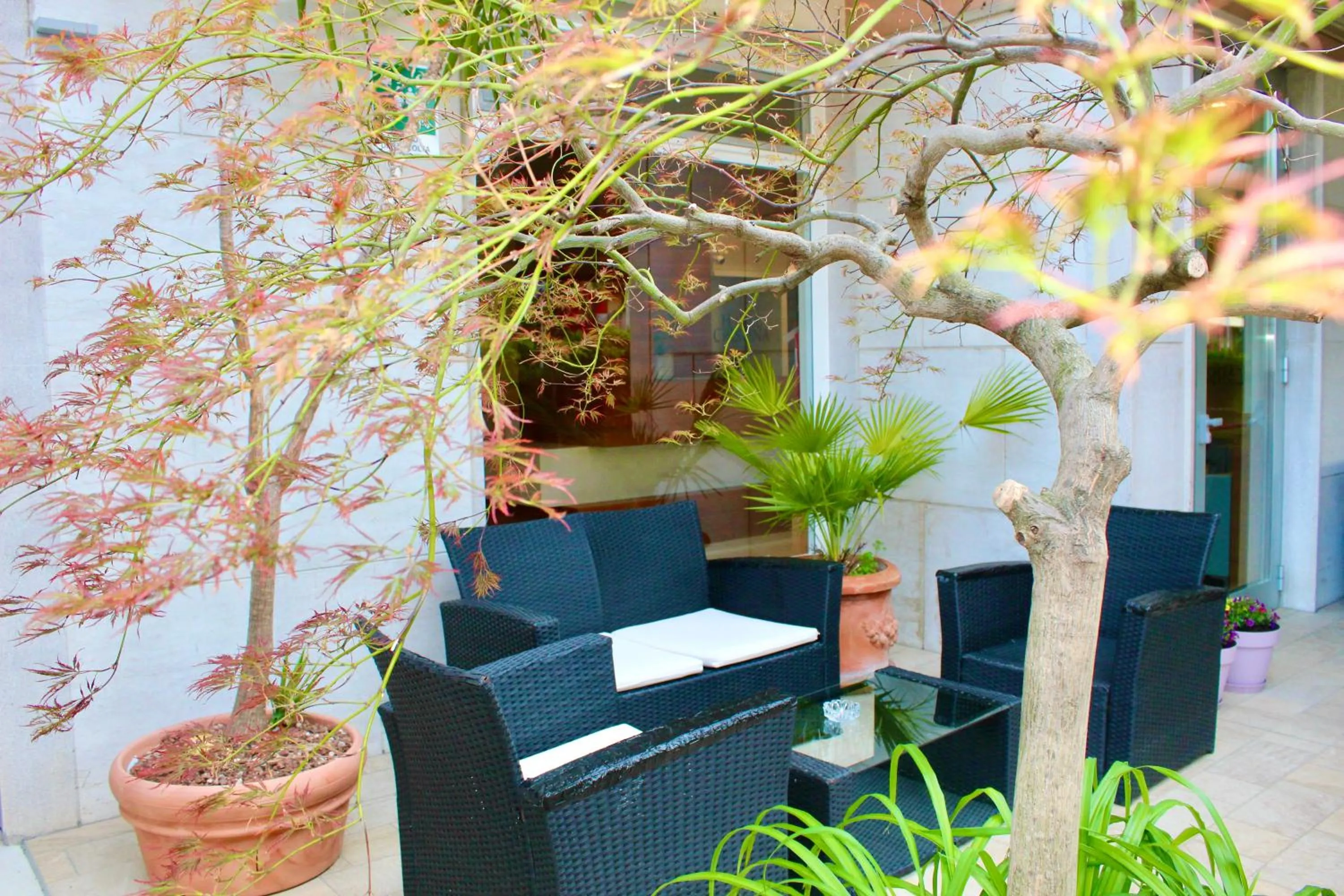 Garden in Hotel Cristina