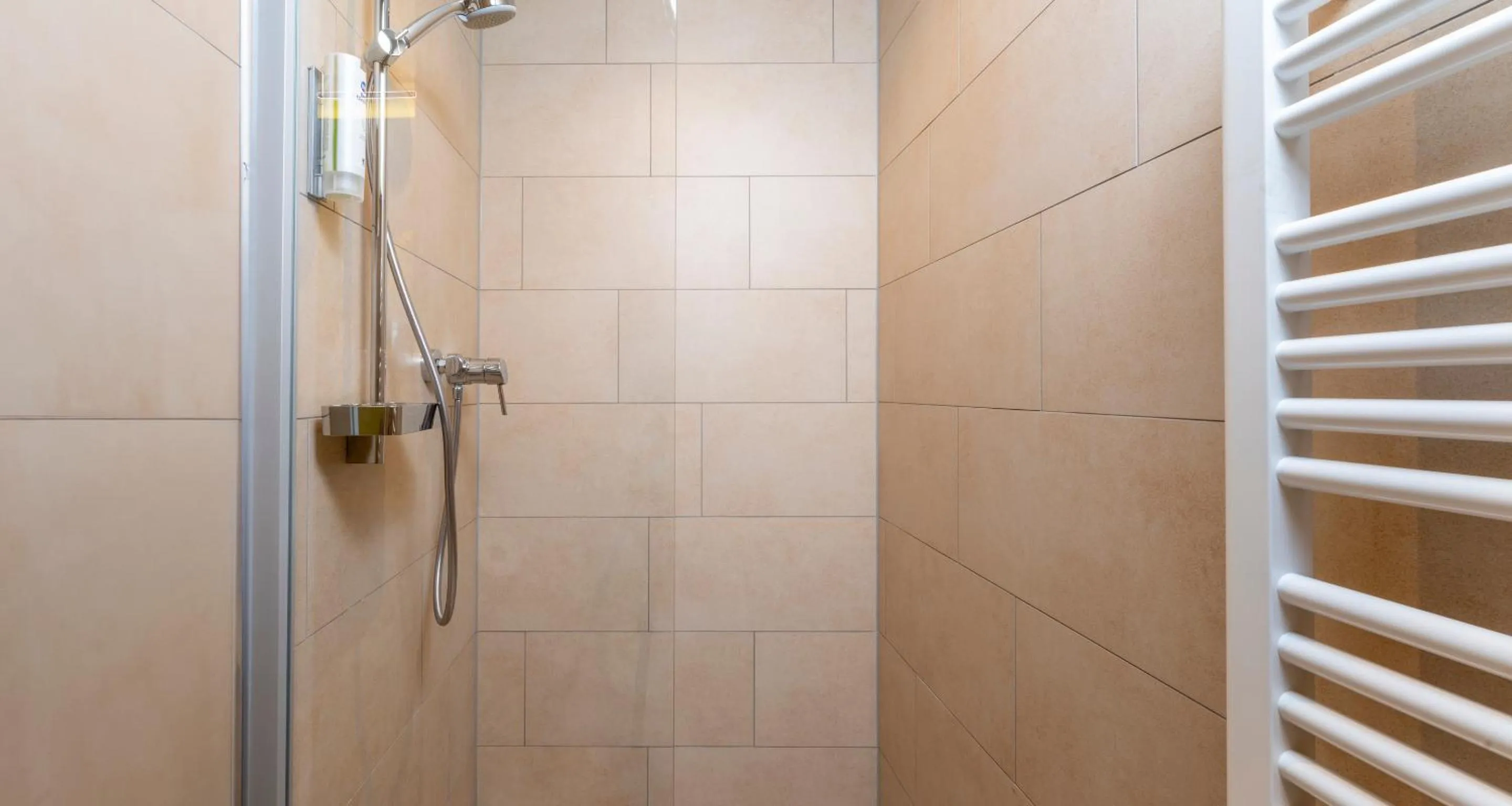 Shower in Best Western Hotel Bad Rappenau