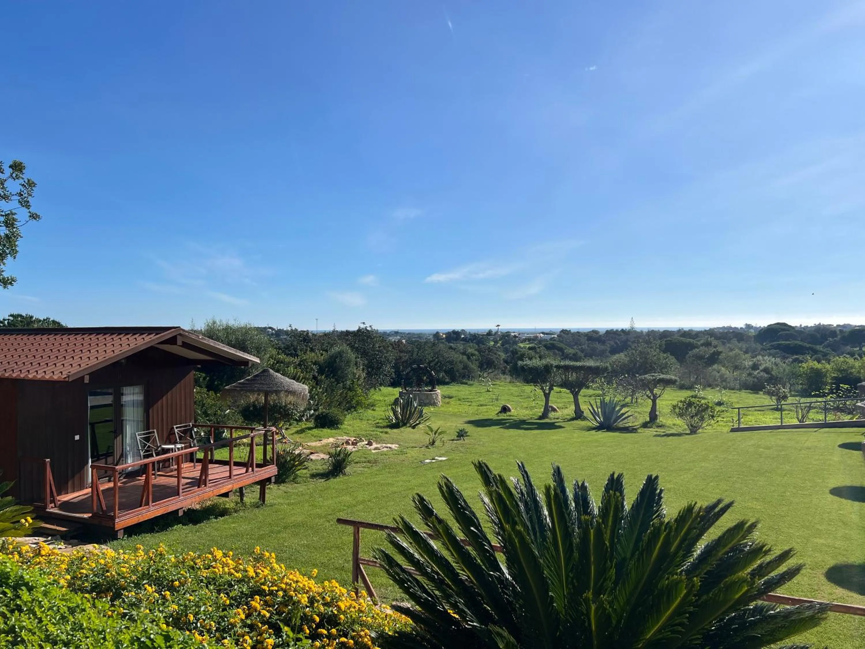 Day in Quinta Saleiro Guesthouse