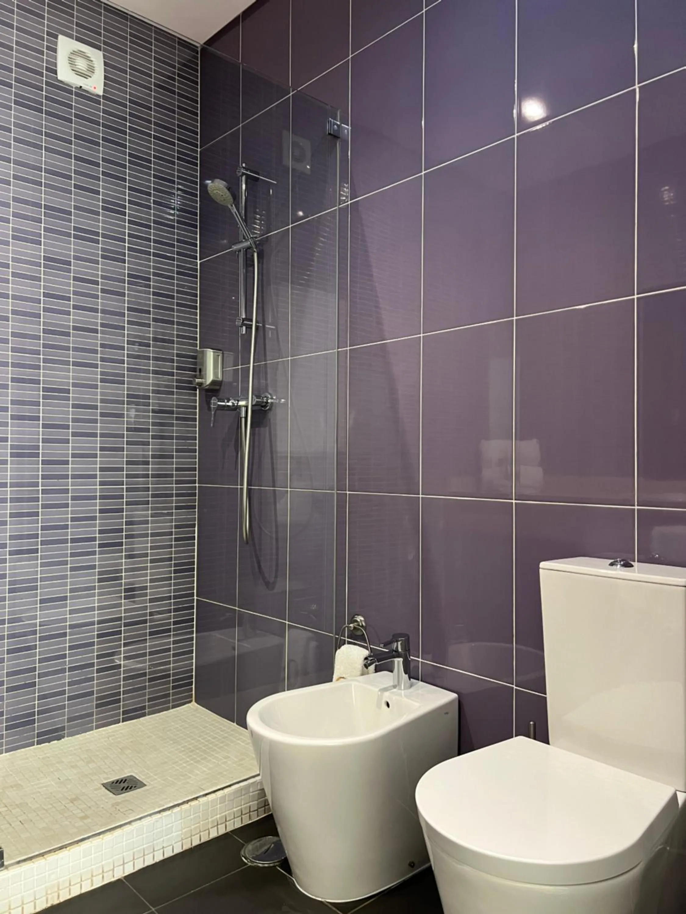 Shower in Quinta Saleiro Guesthouse