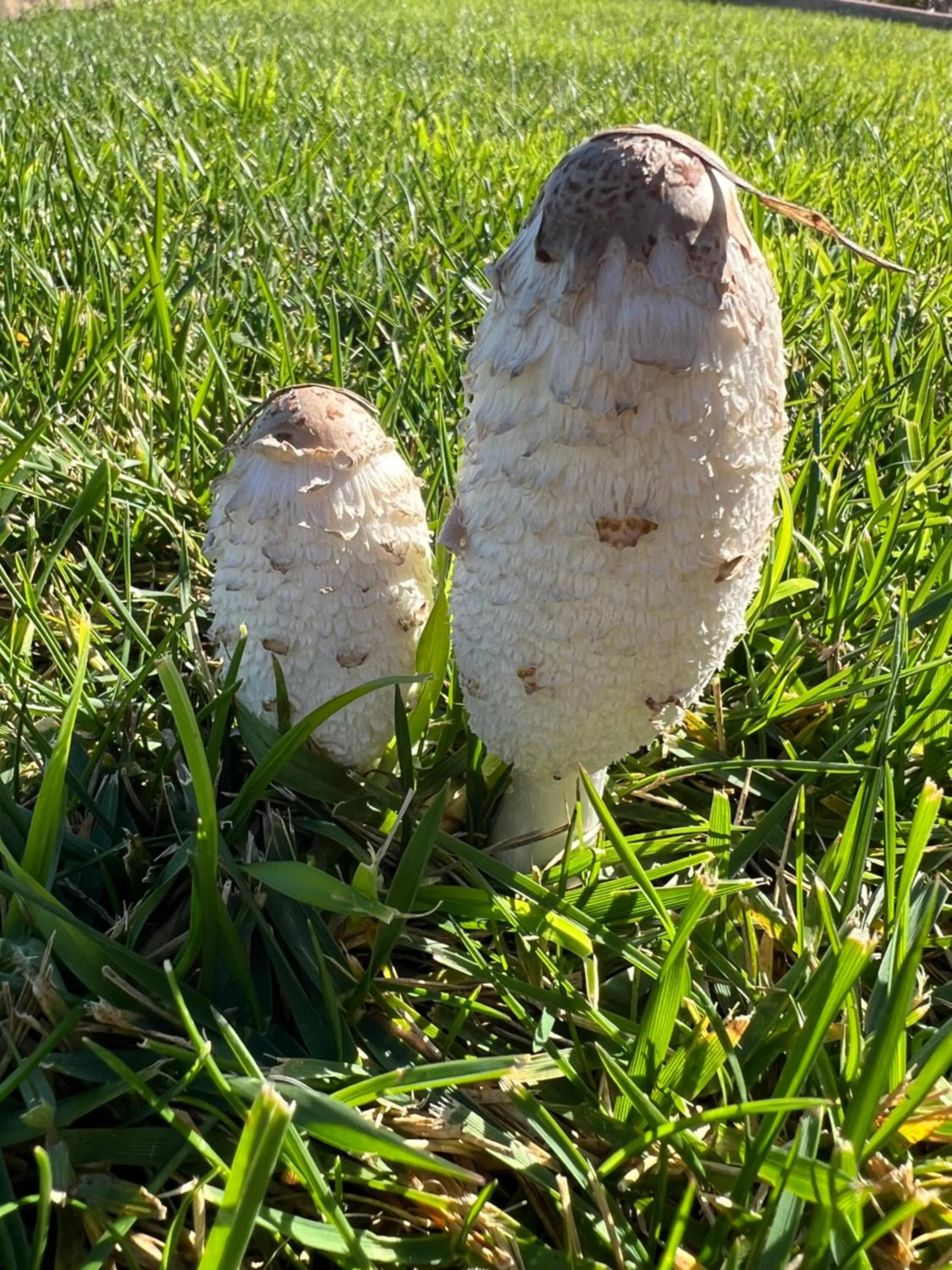 Garden in Quinta Saleiro Guesthouse
