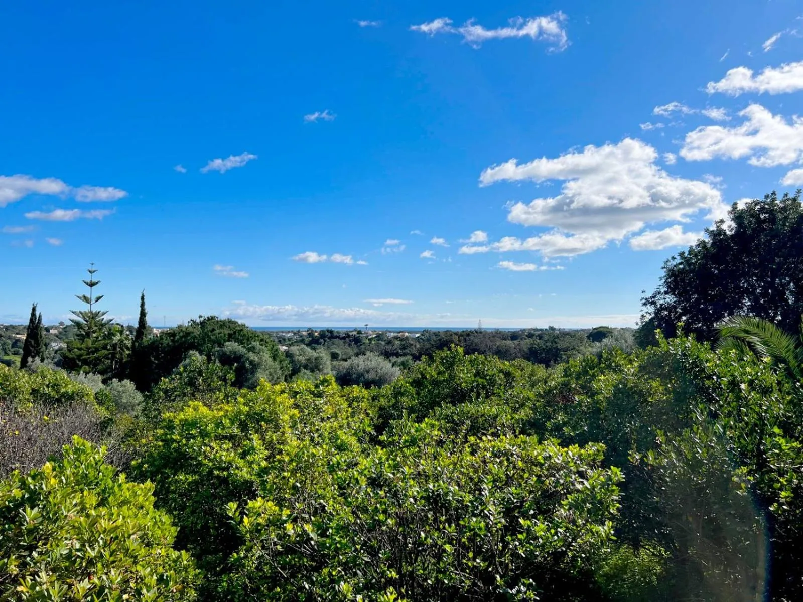 Sea view in Quinta Saleiro Guesthouse