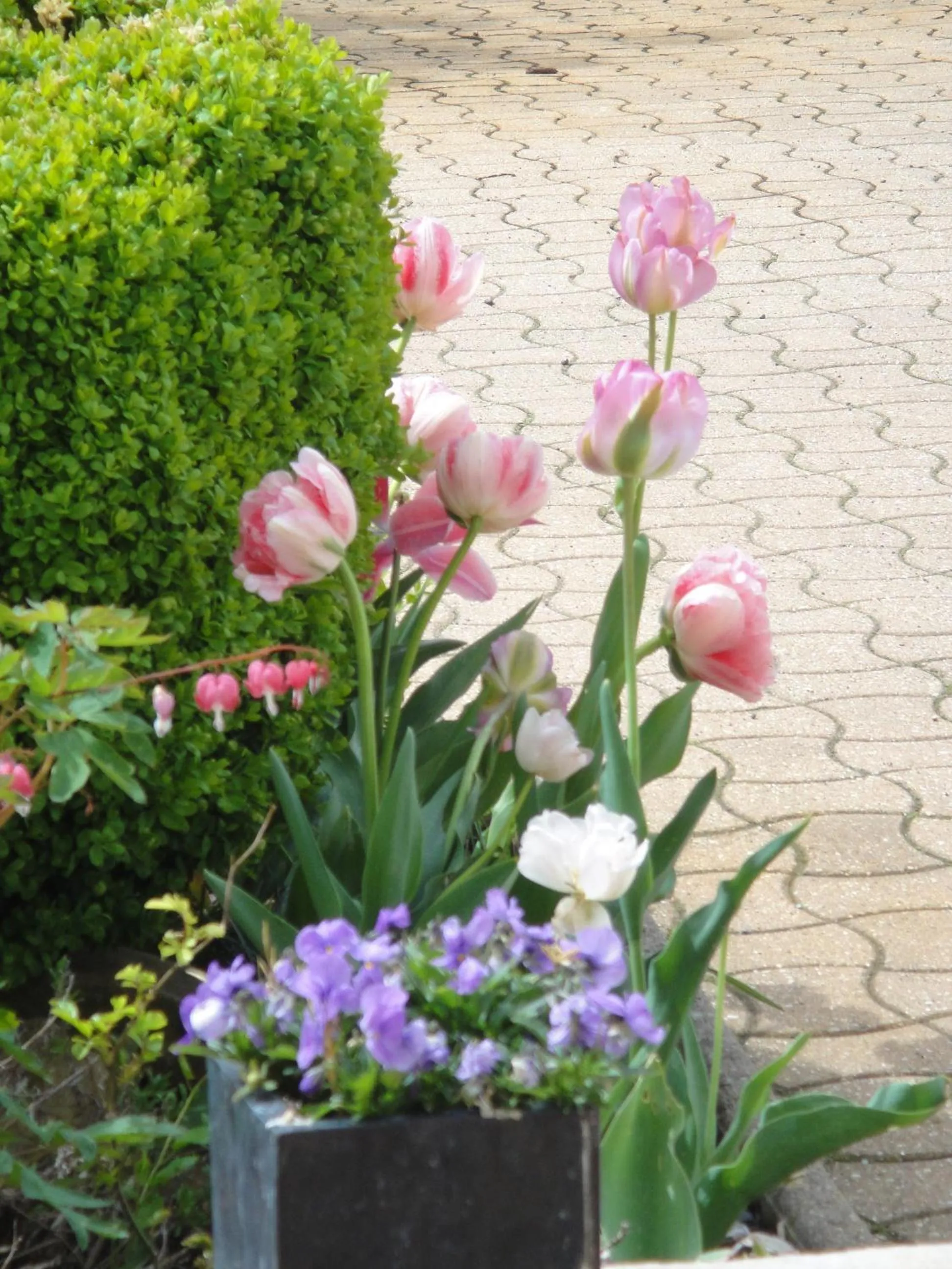 Decorative detail in Chambres d'Hôtes Le Clos Du Verger