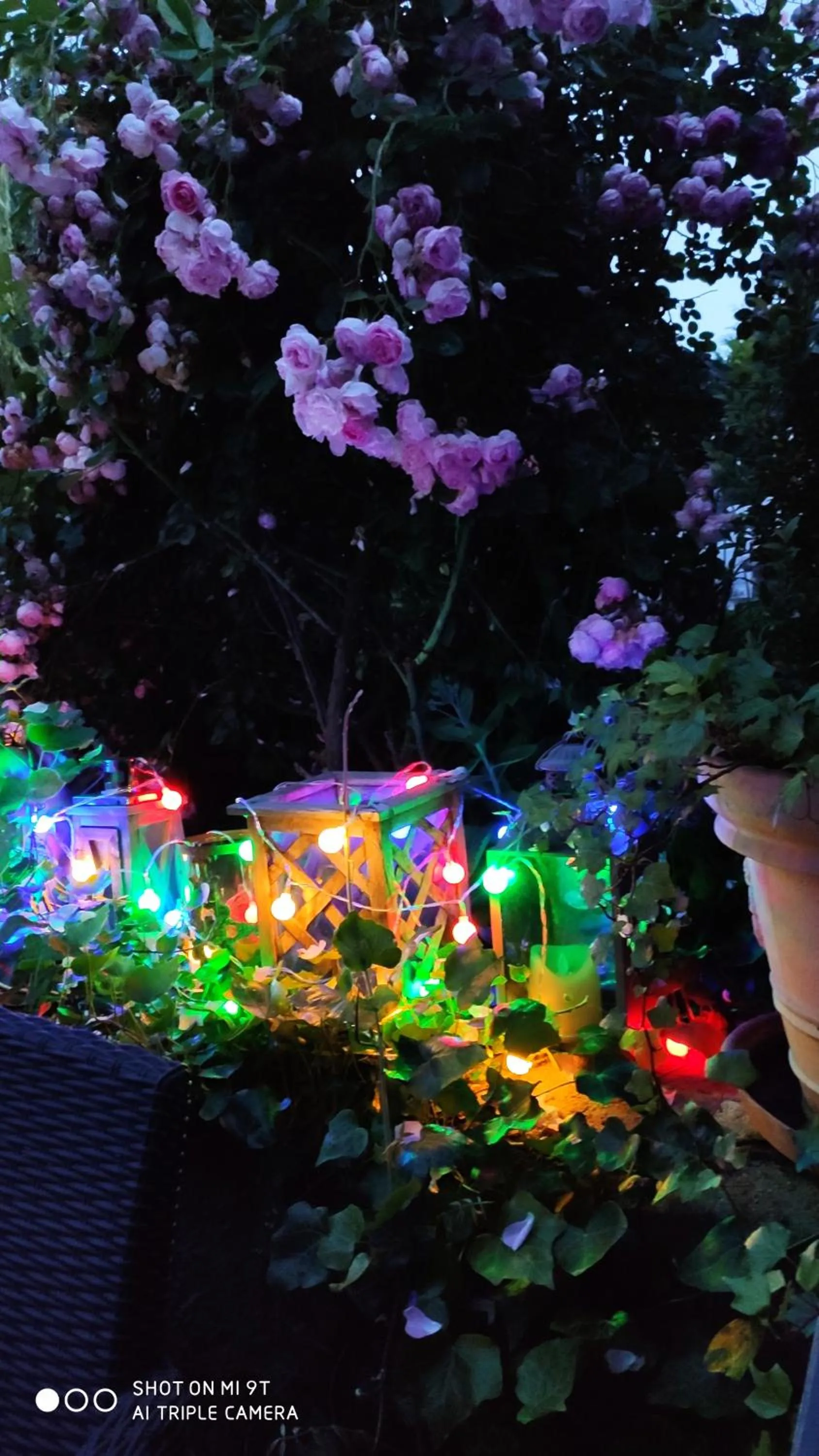 Chambres d'Hôtes Le Clos Du Verger