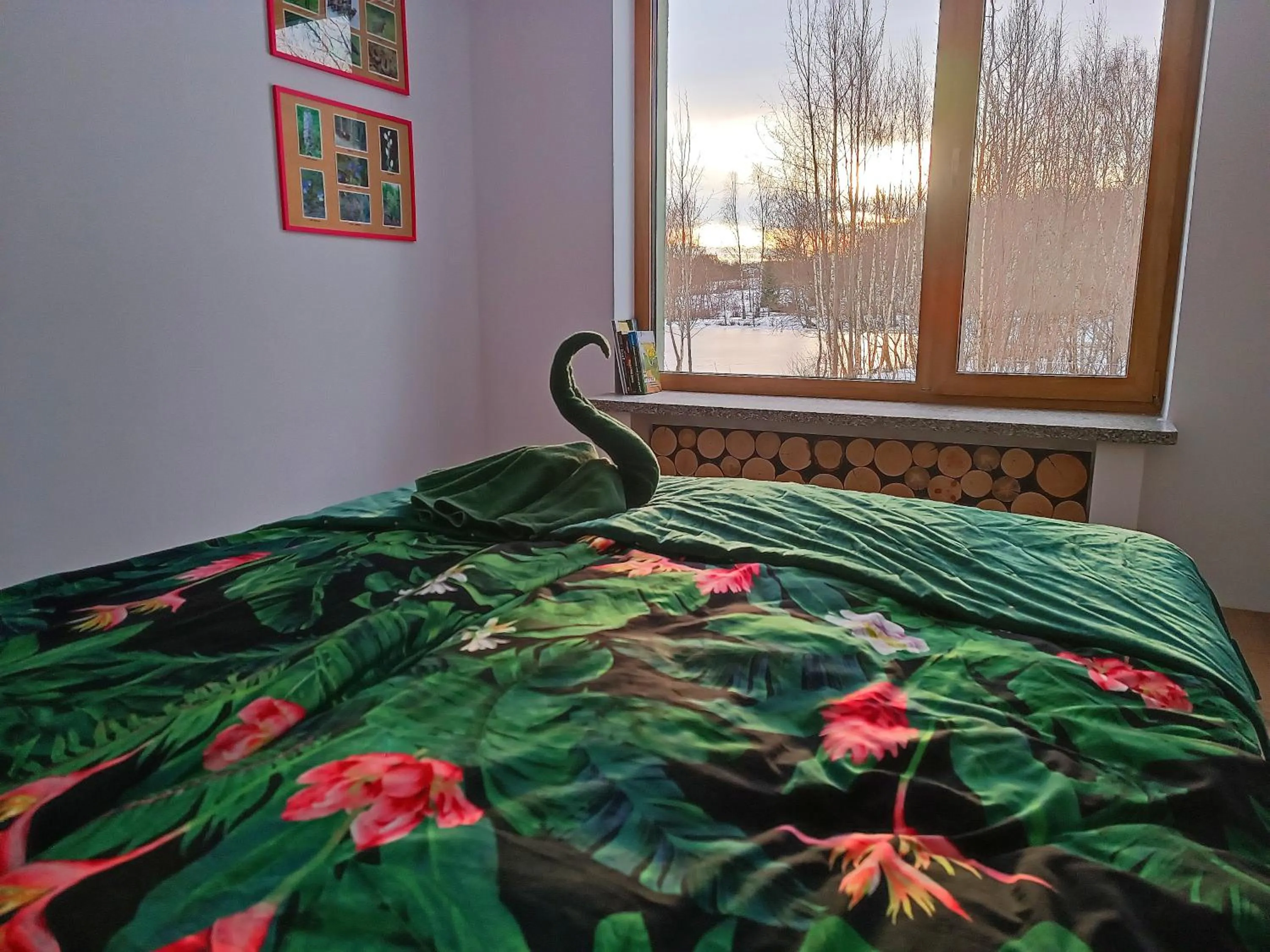 Bed in Blu Raj - domy w Sudetach