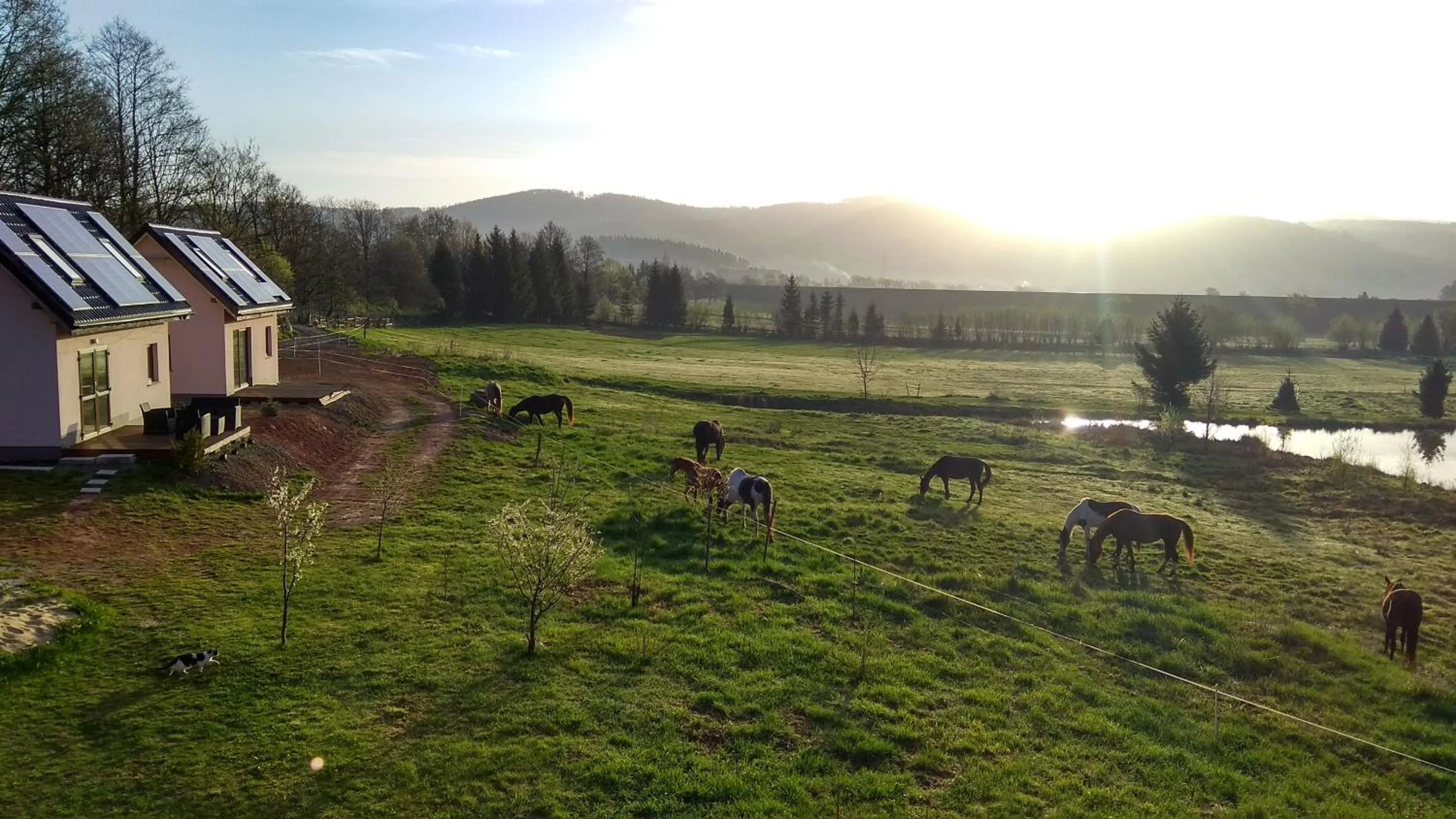 Spring in Blu Raj - domy w Sudetach