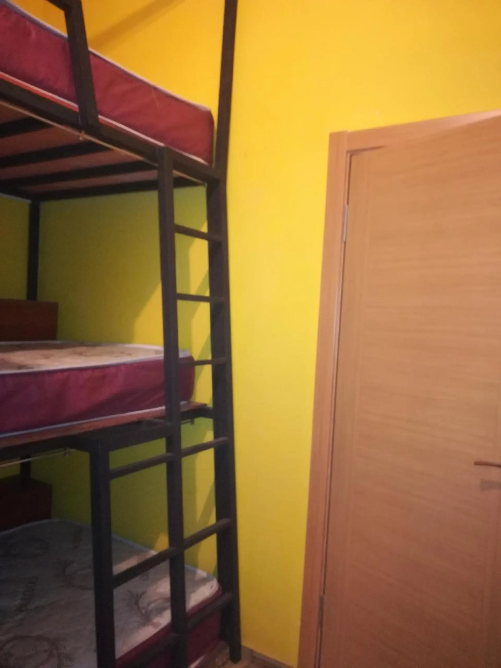 bunk bed, Bed in Chillout Lya Hostel & Lounge