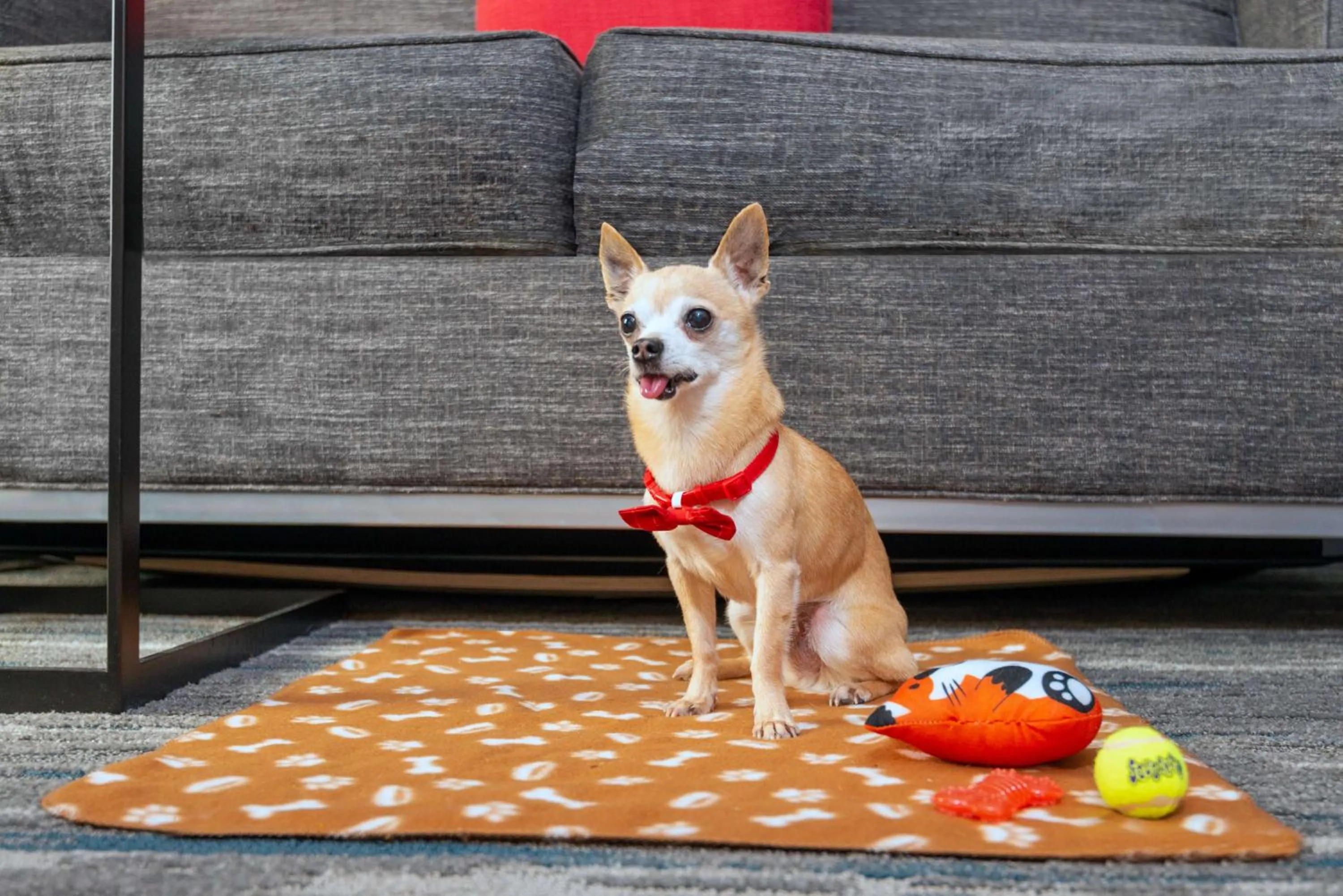 Other in Hampton Inn & Suites Cleveland-Beachwood