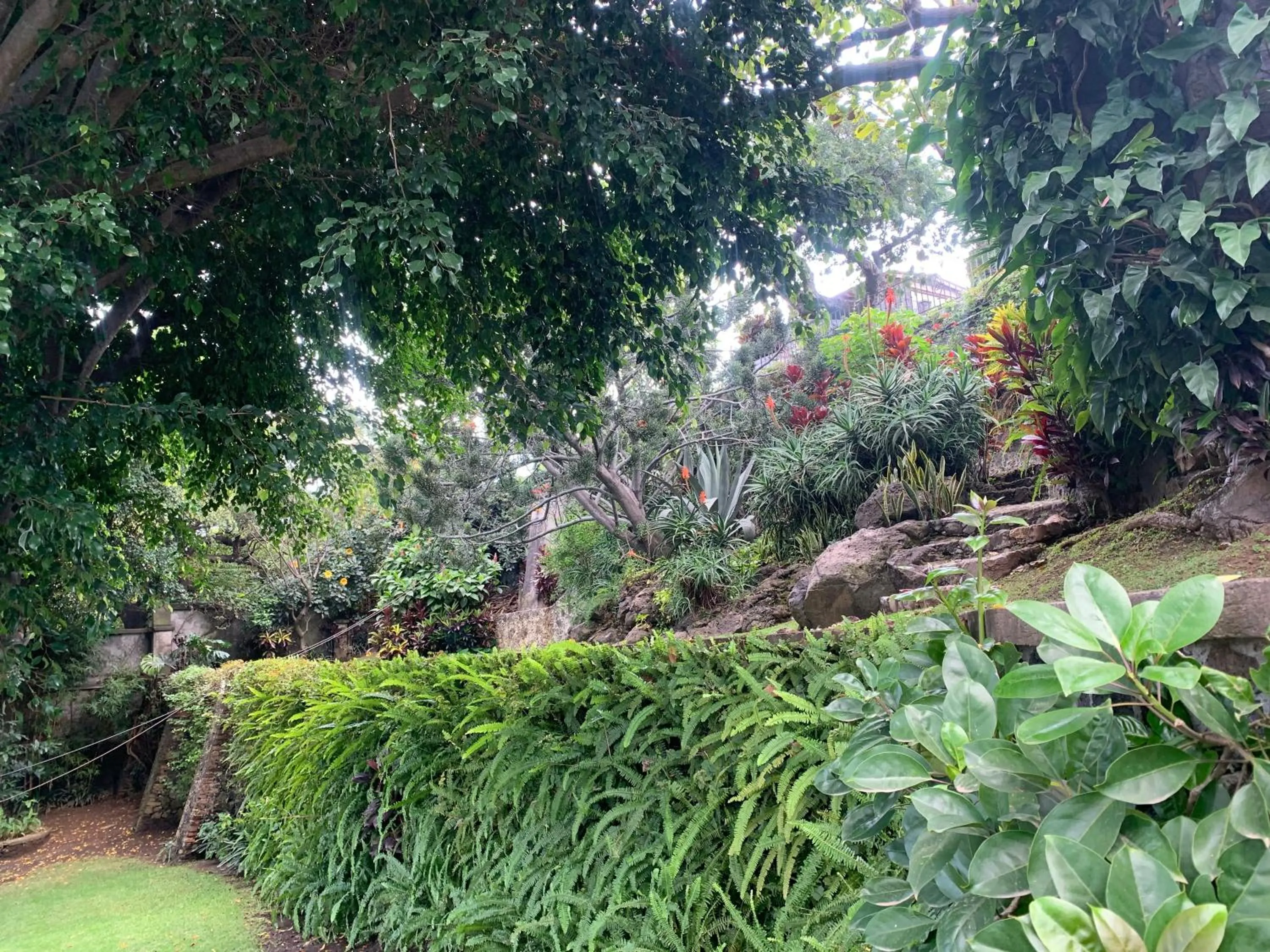 Garden in Posada del Tepozteco - Hotel & Gallery